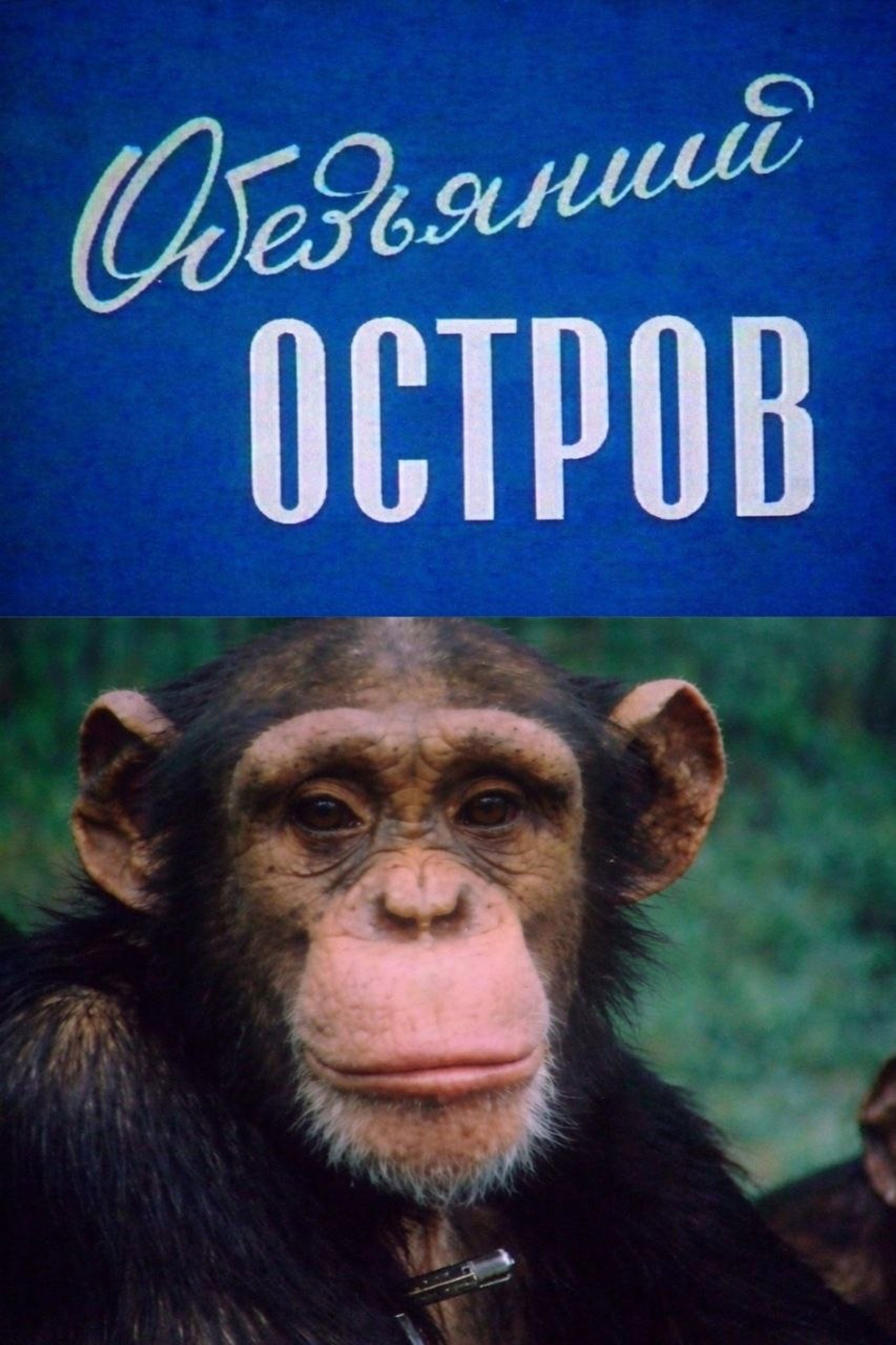 Обезьяний остров
