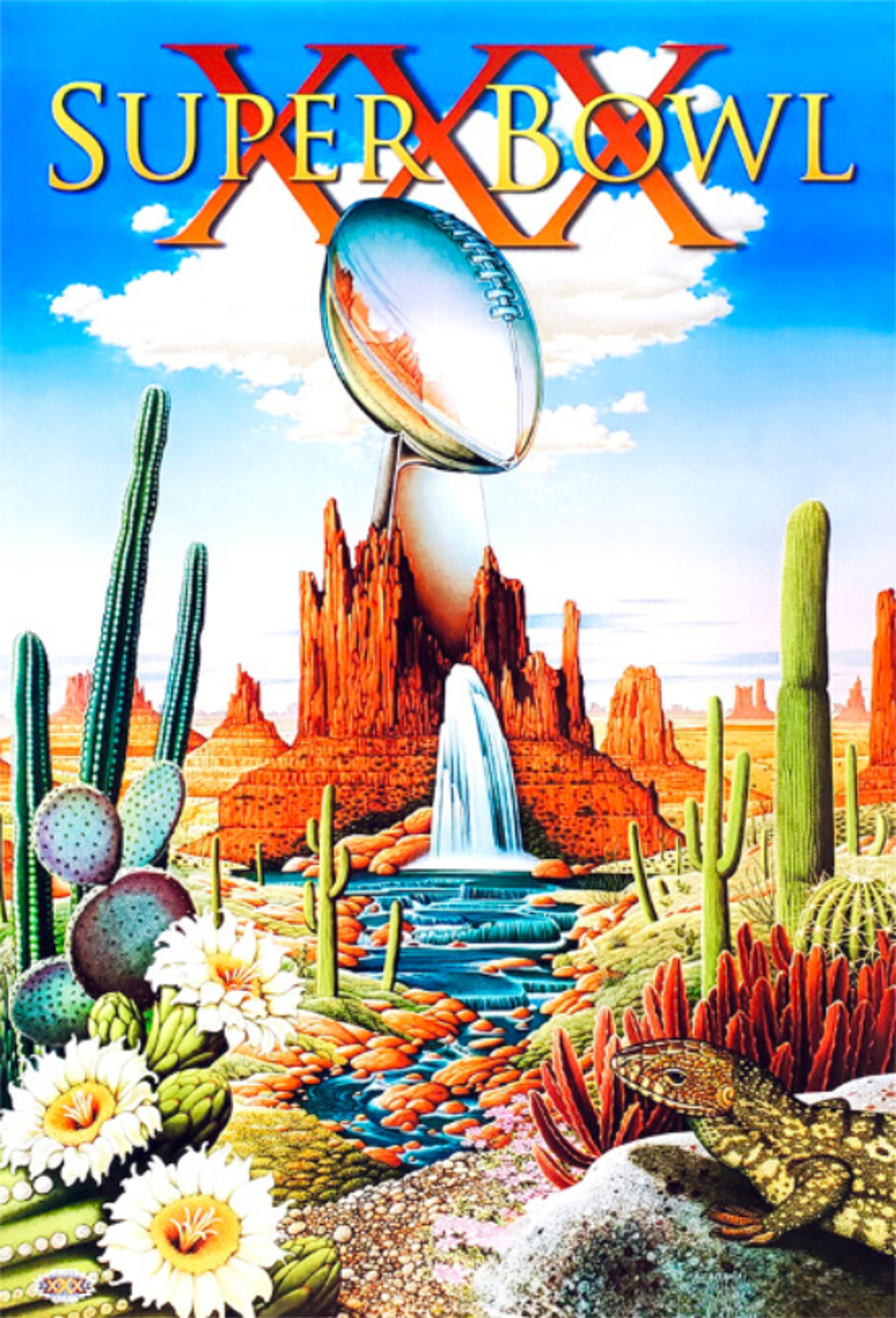 Super Bowl XXX