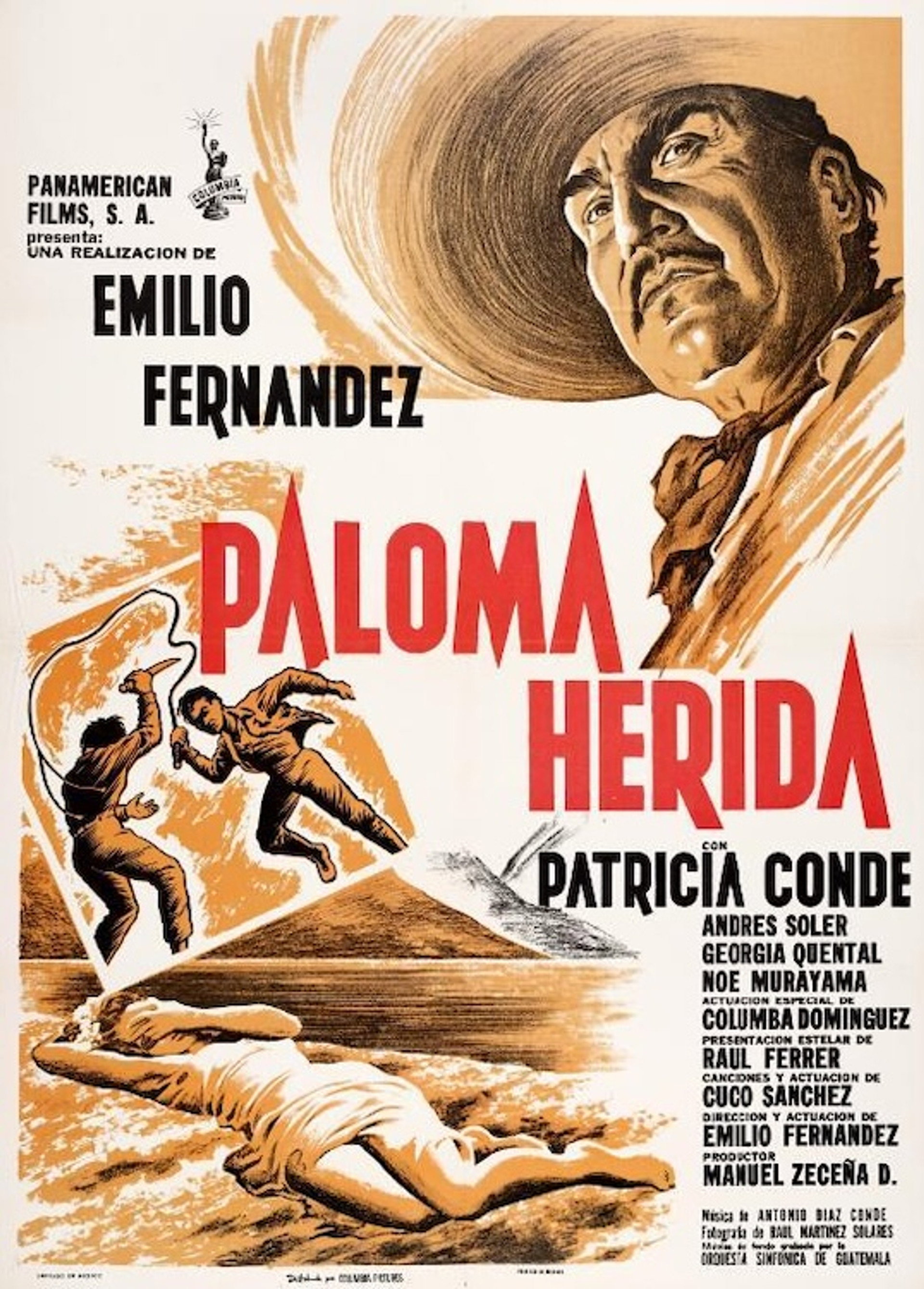 Paloma herida