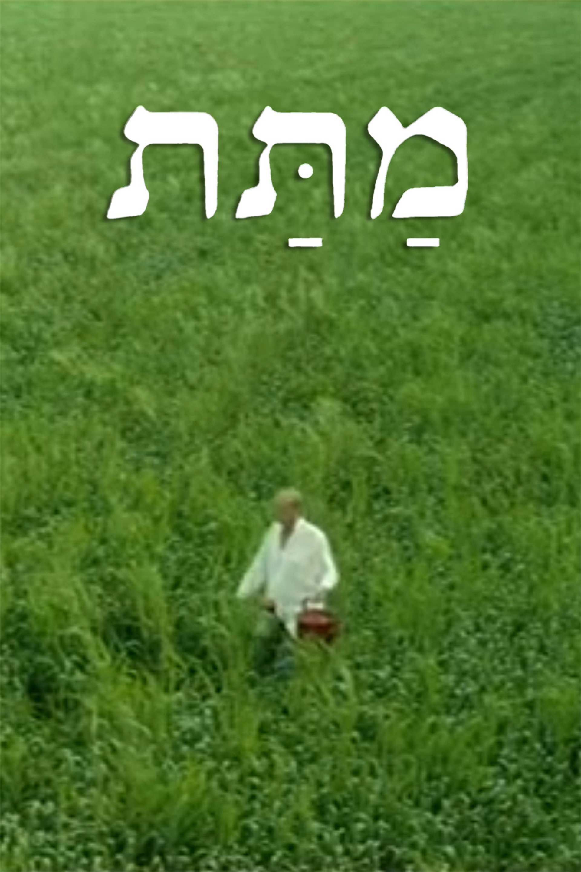 מתת