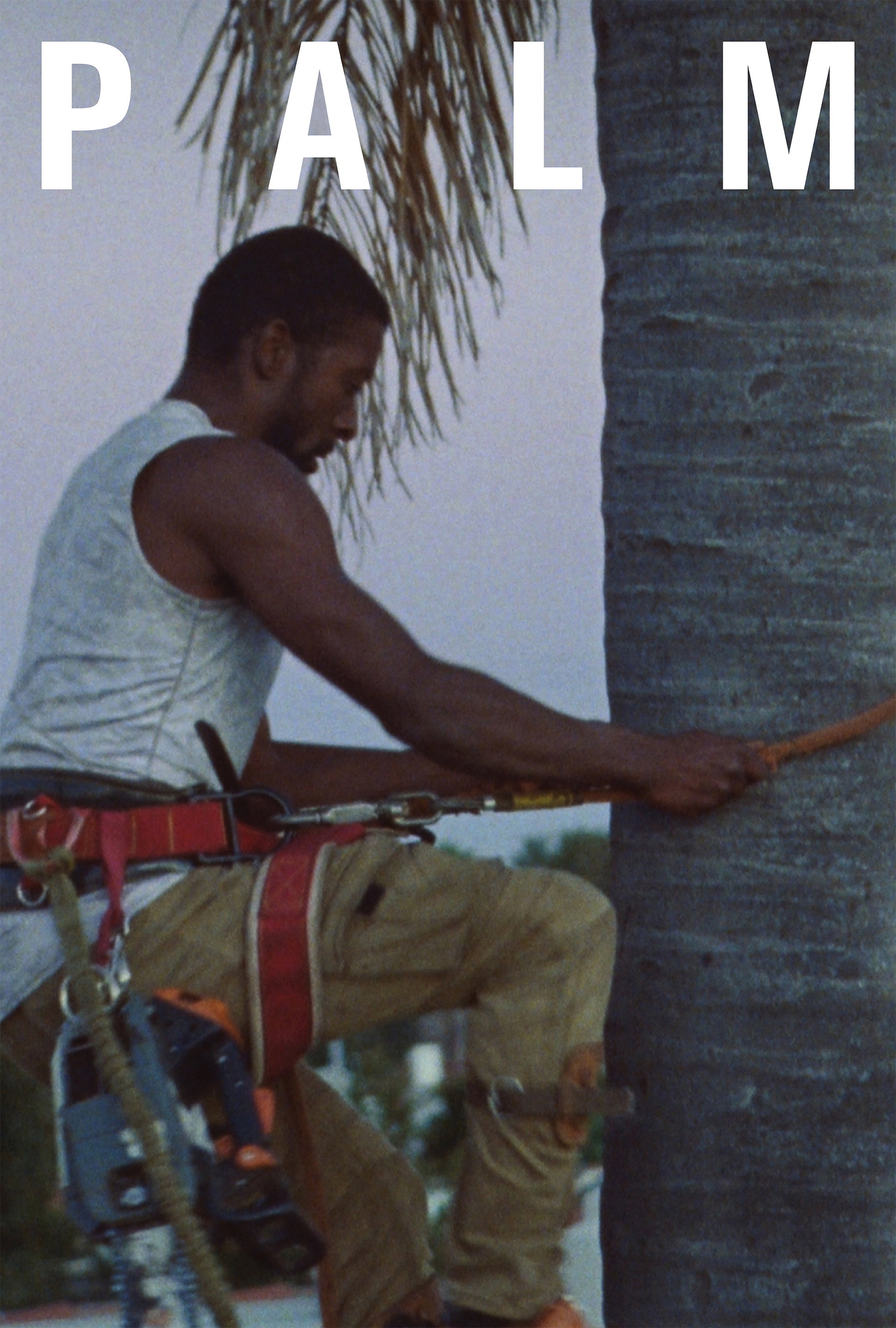 Palm