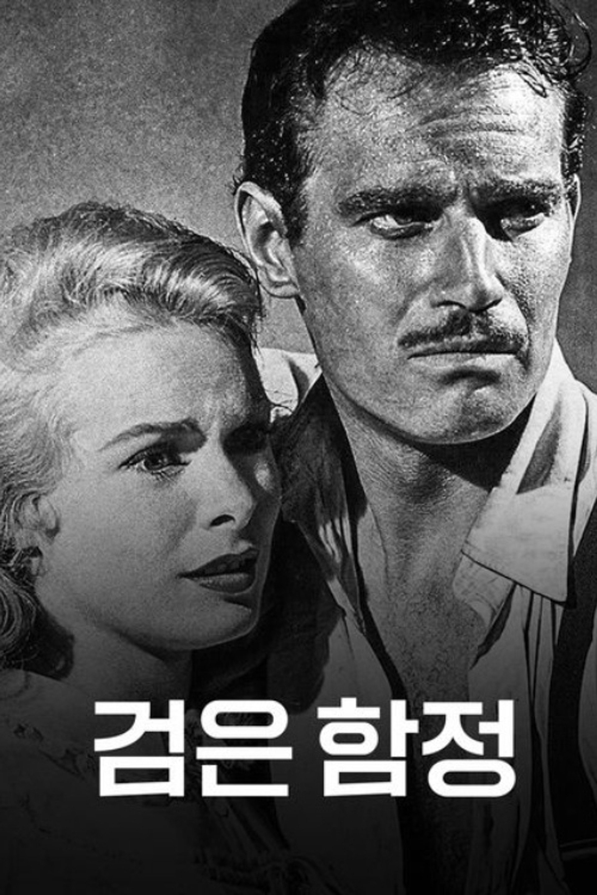 검은 함정