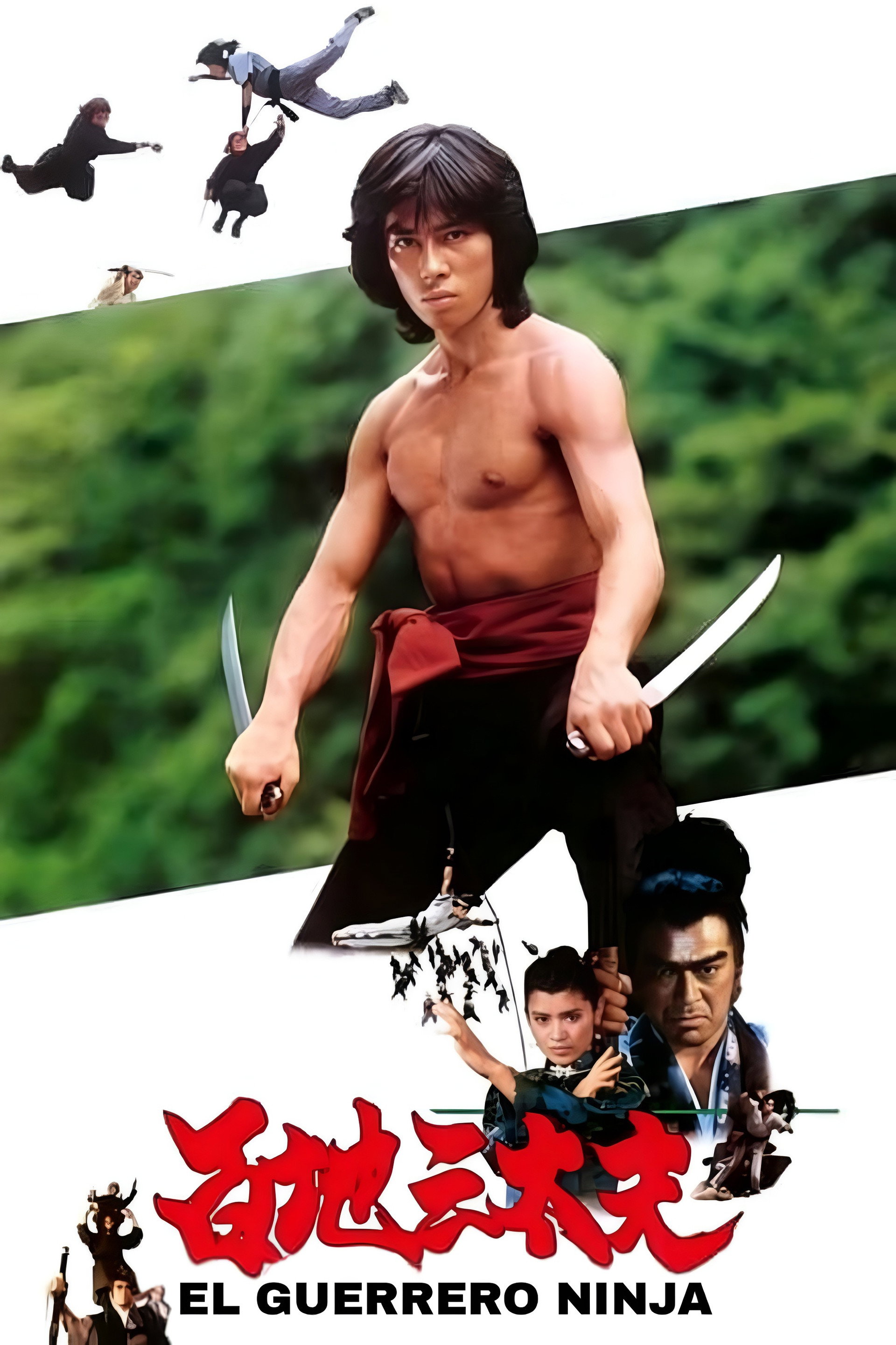 El guerrero ninja