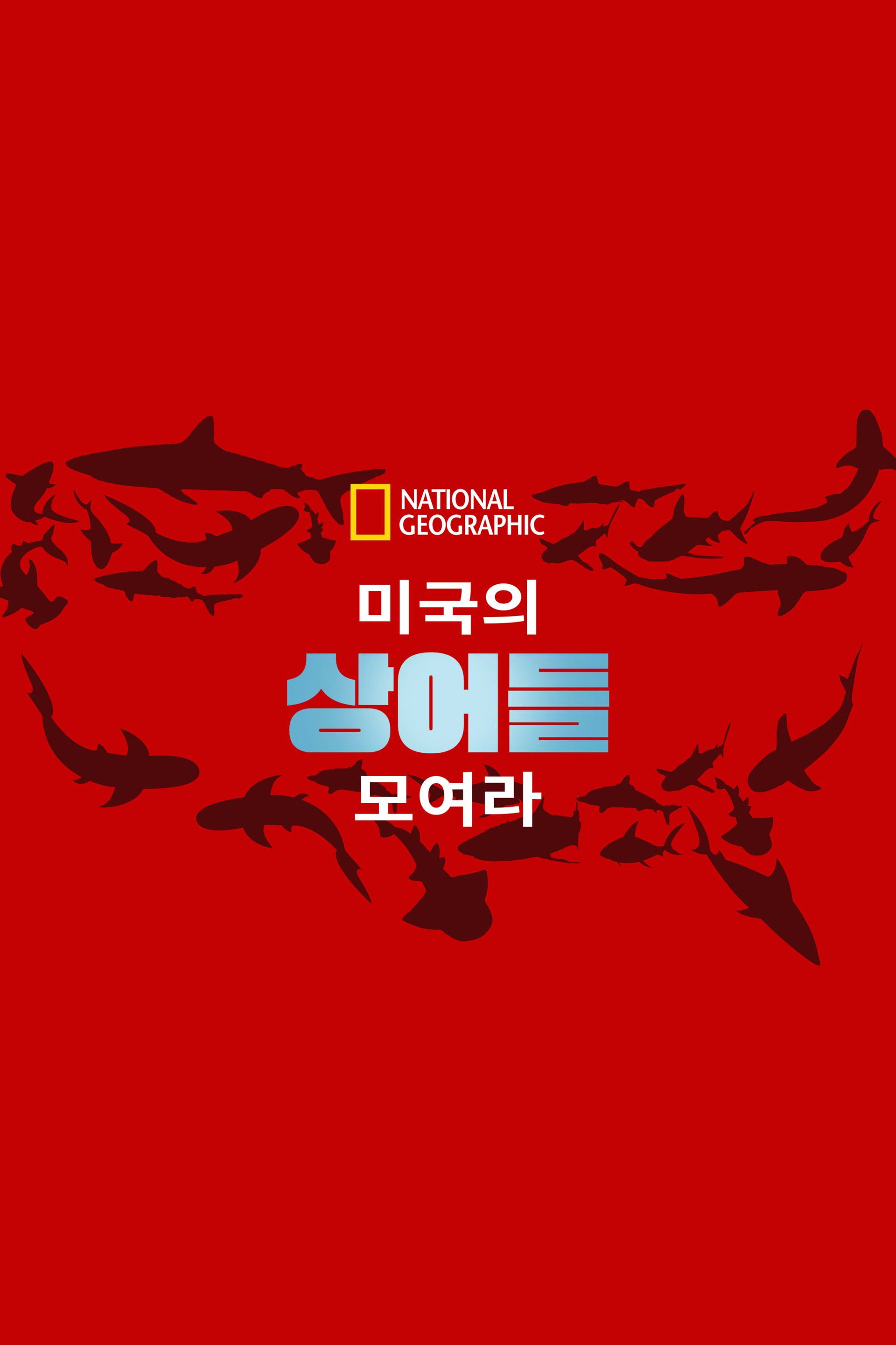 United Sharks of America
