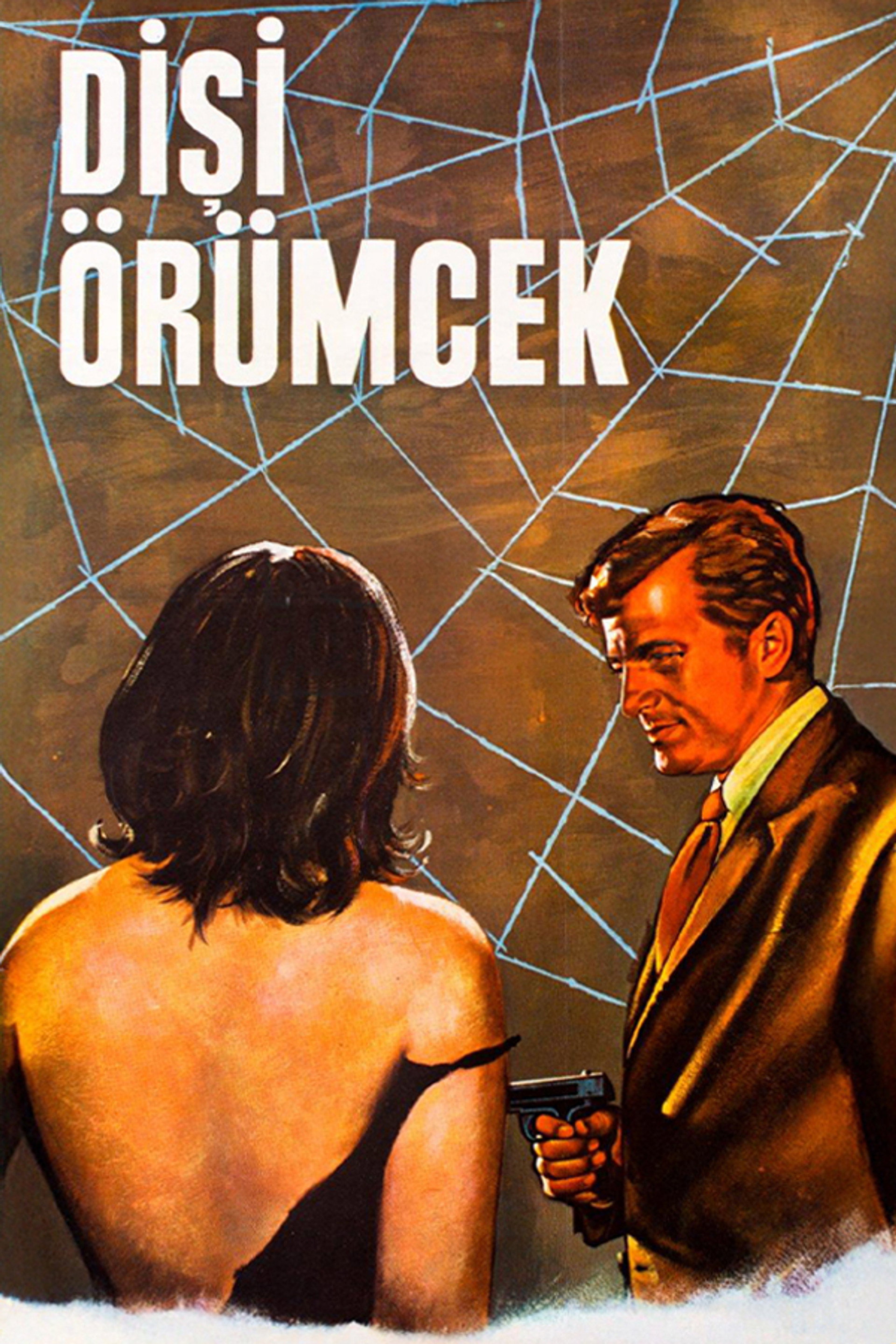Dişi Örümcek
