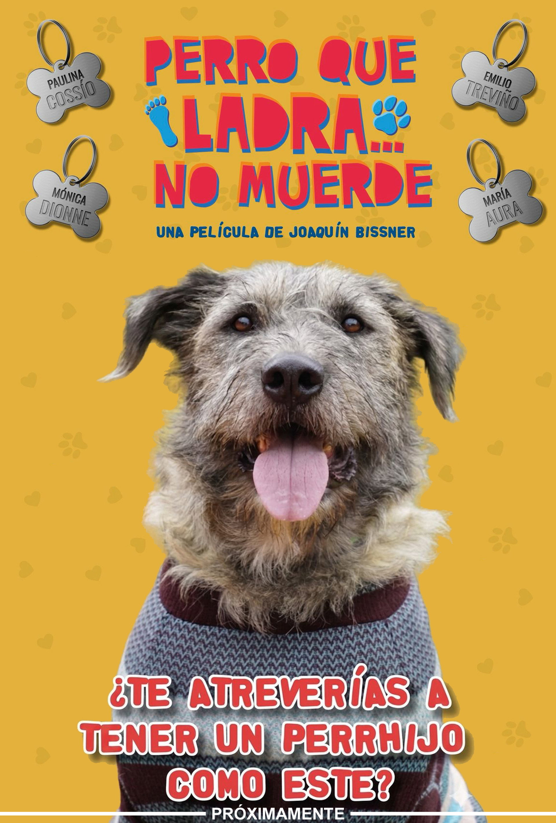 Perro Que Ladra... No Muerde