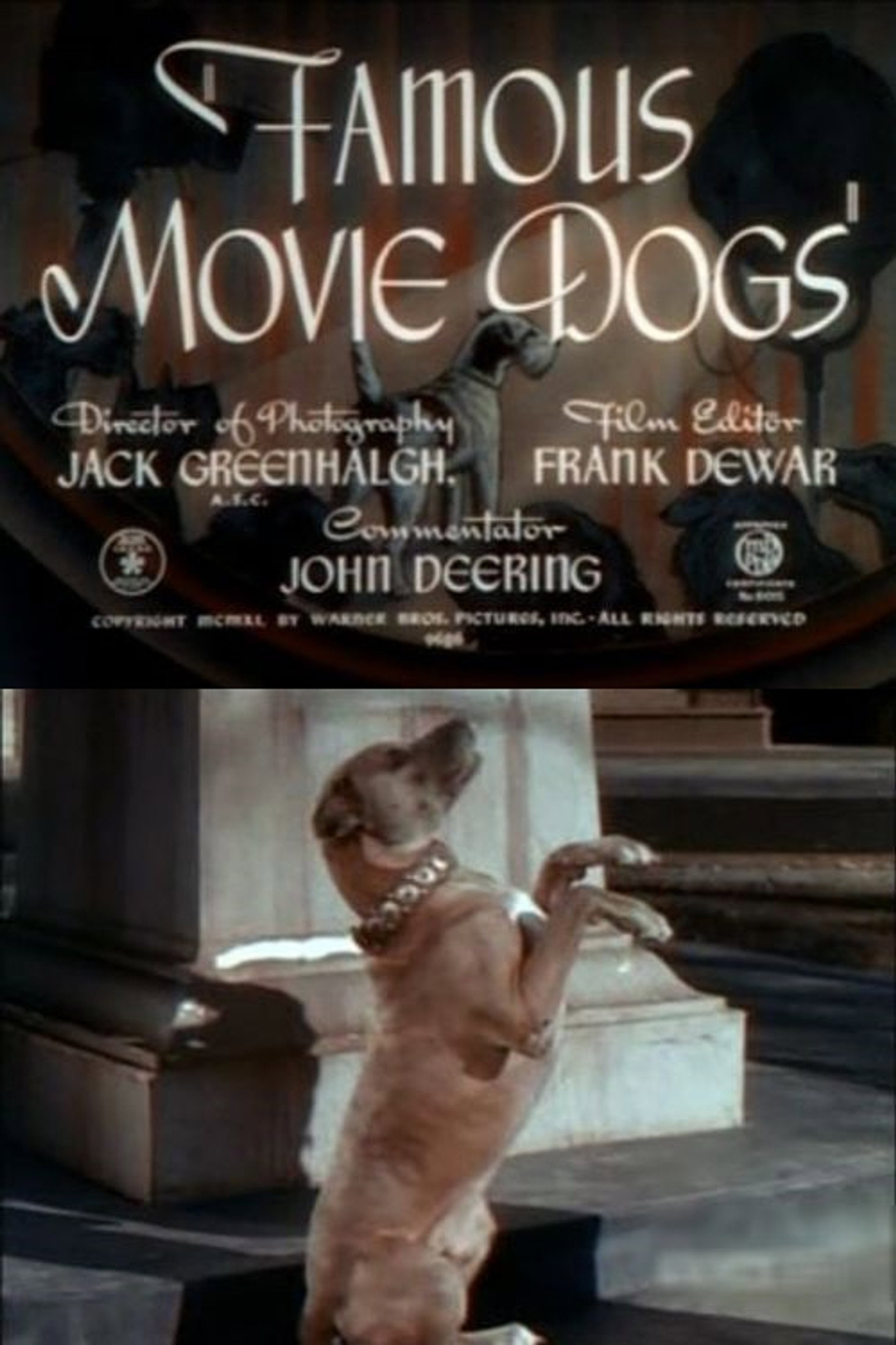 Famous Movie Dogs