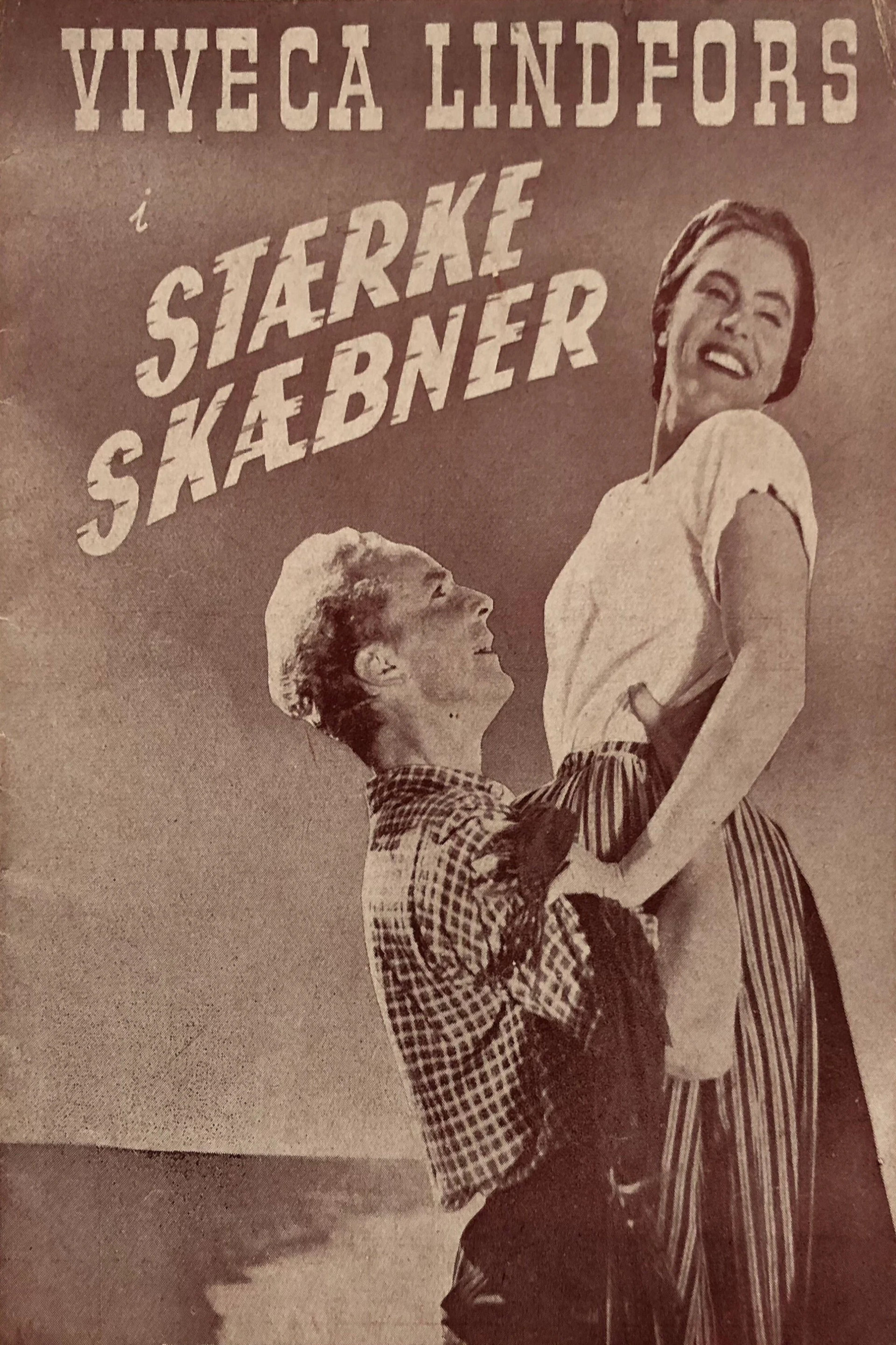 Brödernas kvinna