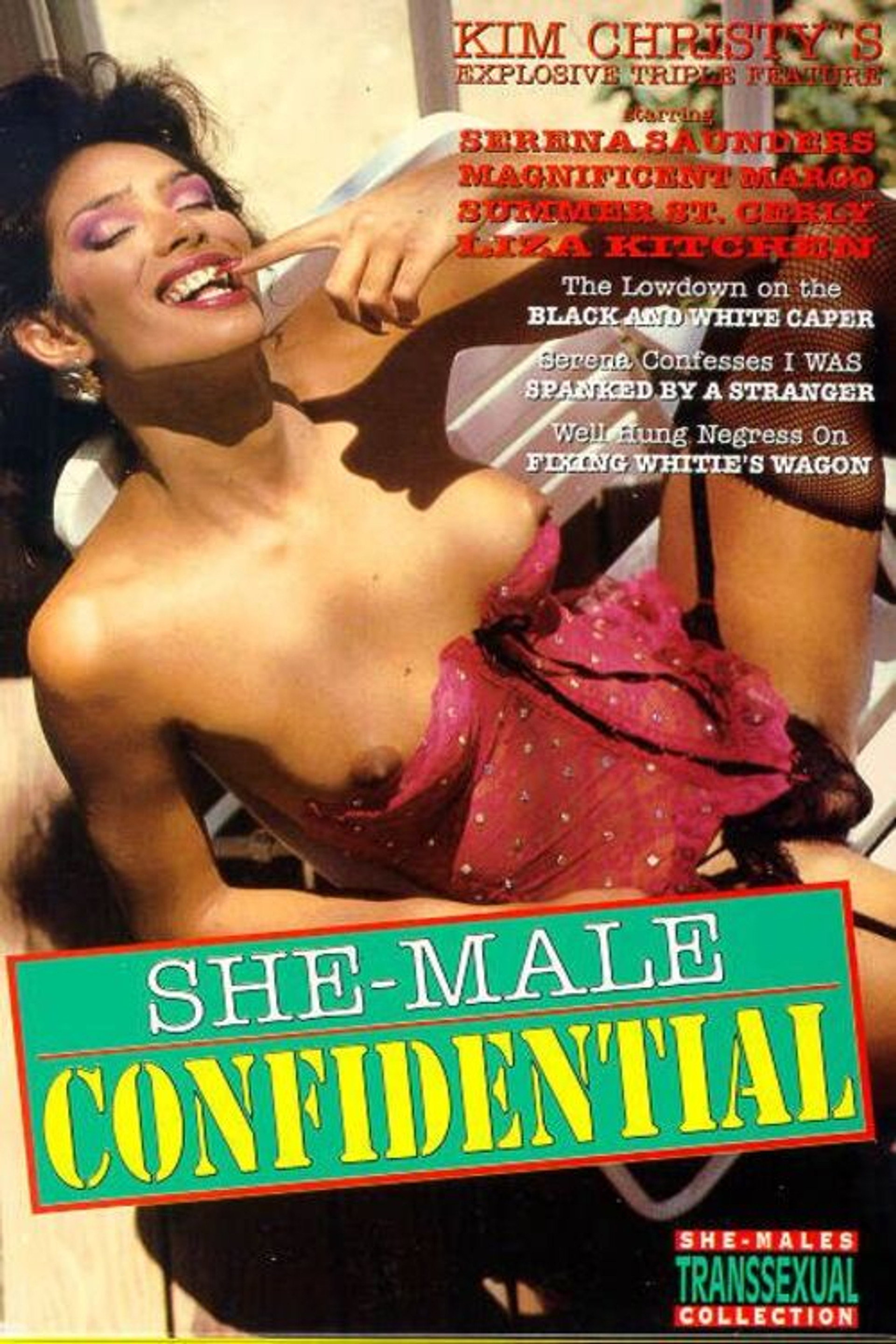 She-Male Encounters 9: She-Male Confidential