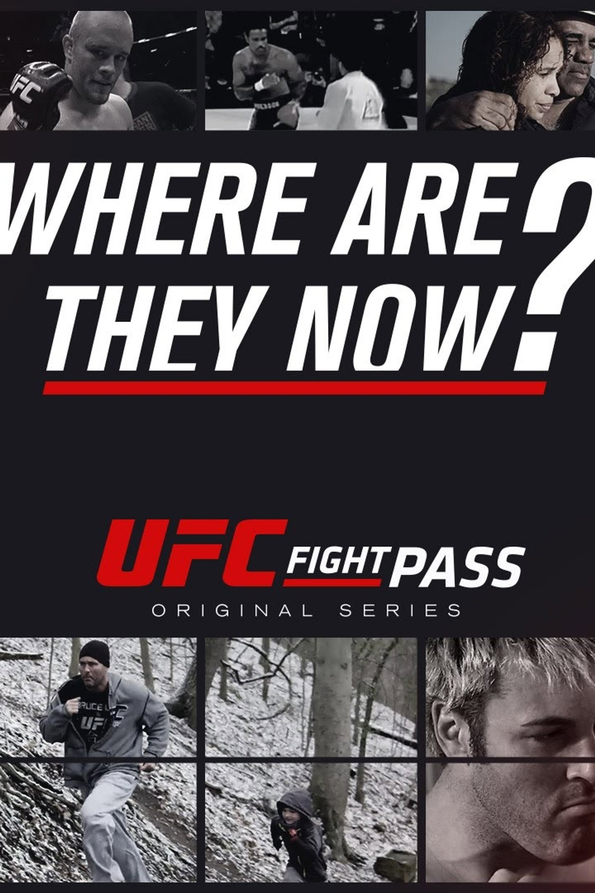 UFC: Where Are They Now?