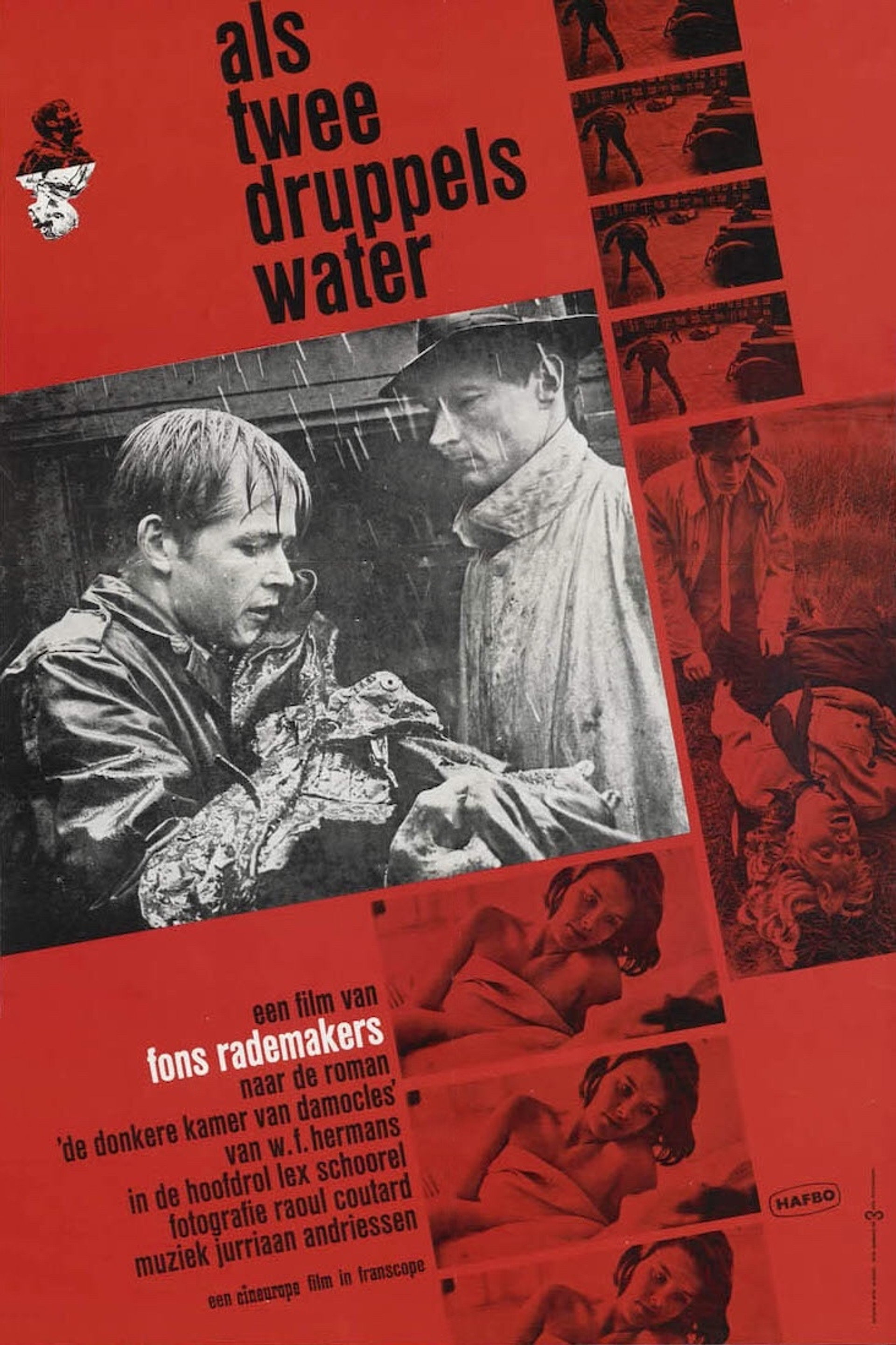 Als twee druppels water