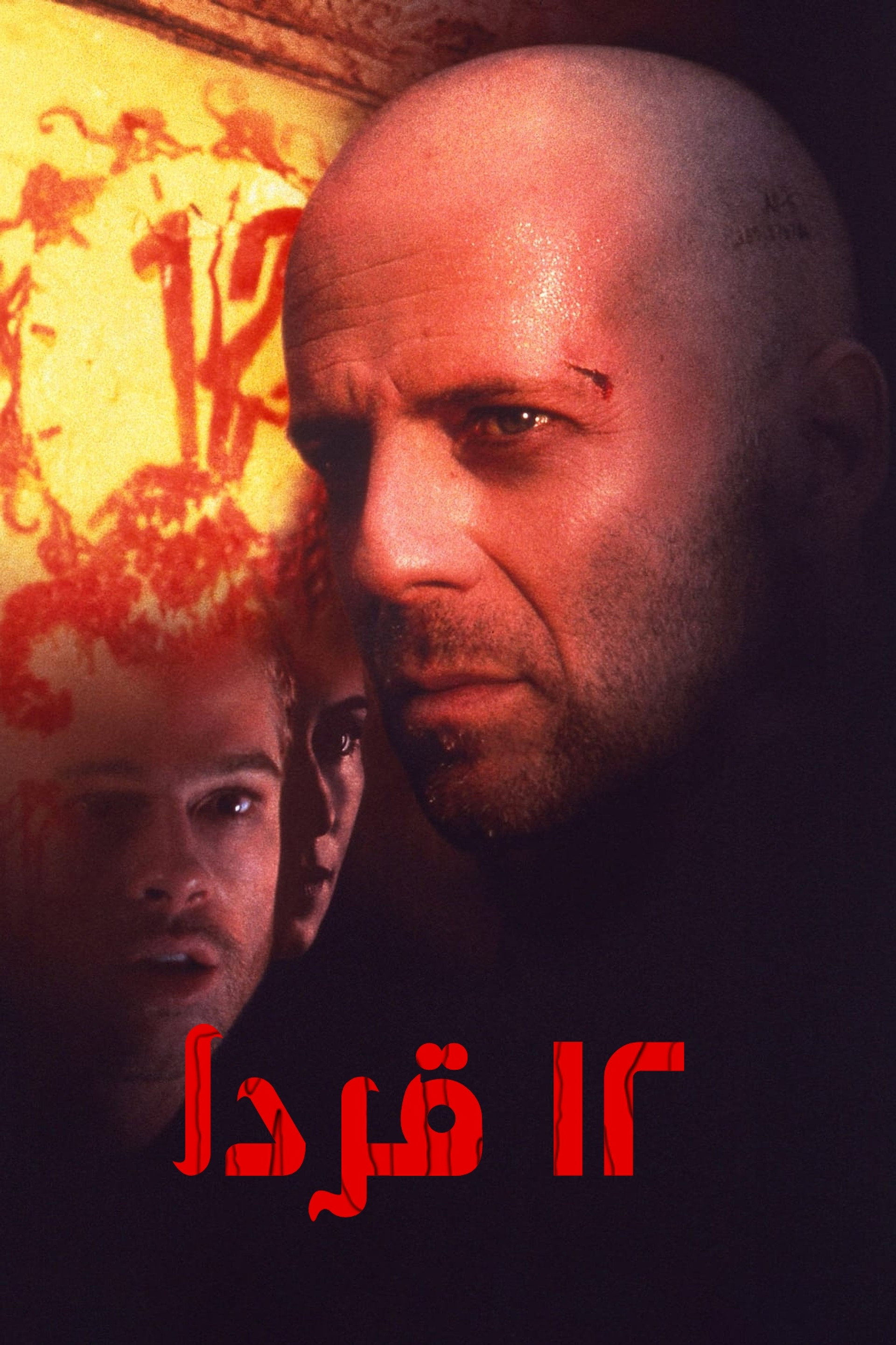 12 قردا