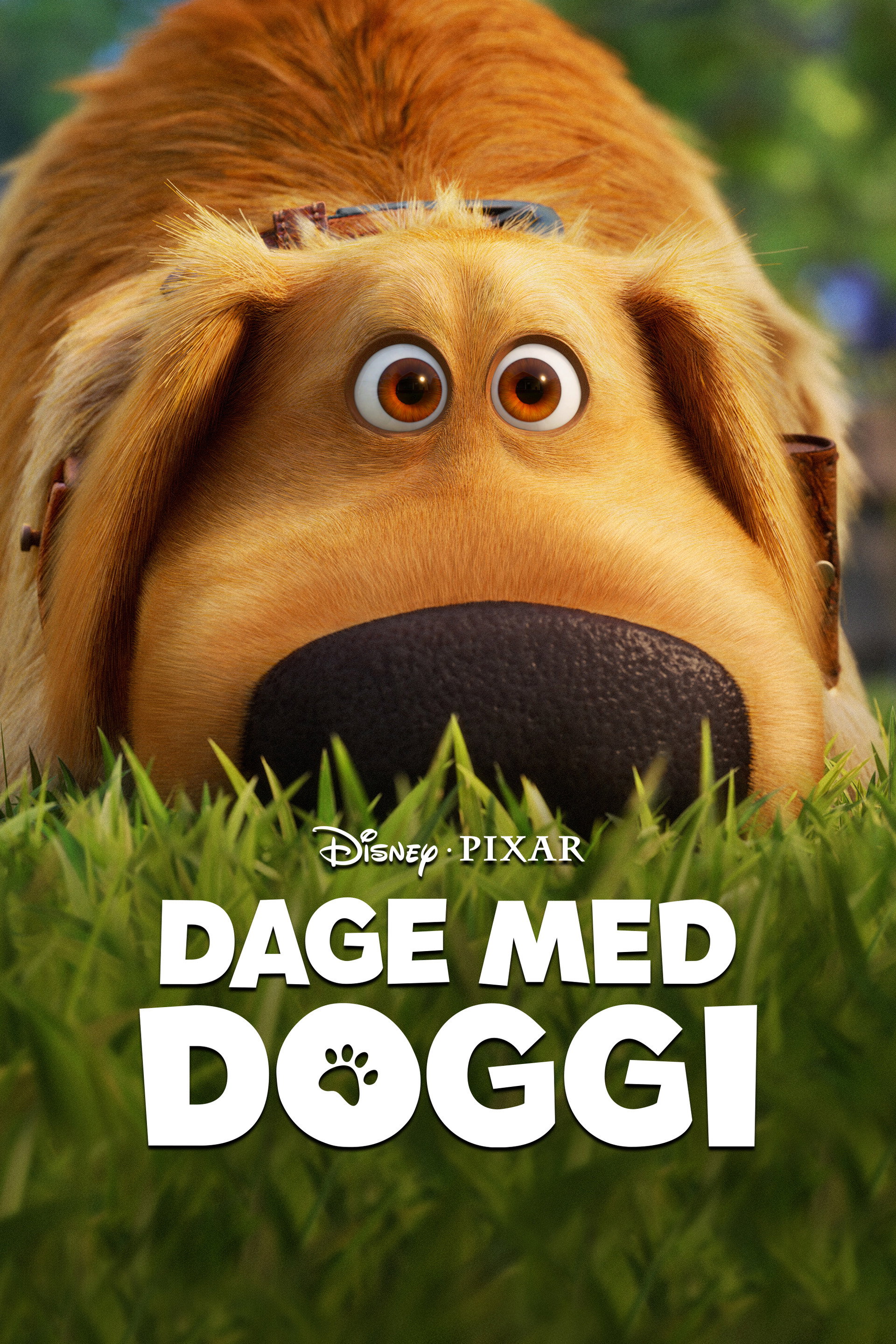 Dage med Doggi
