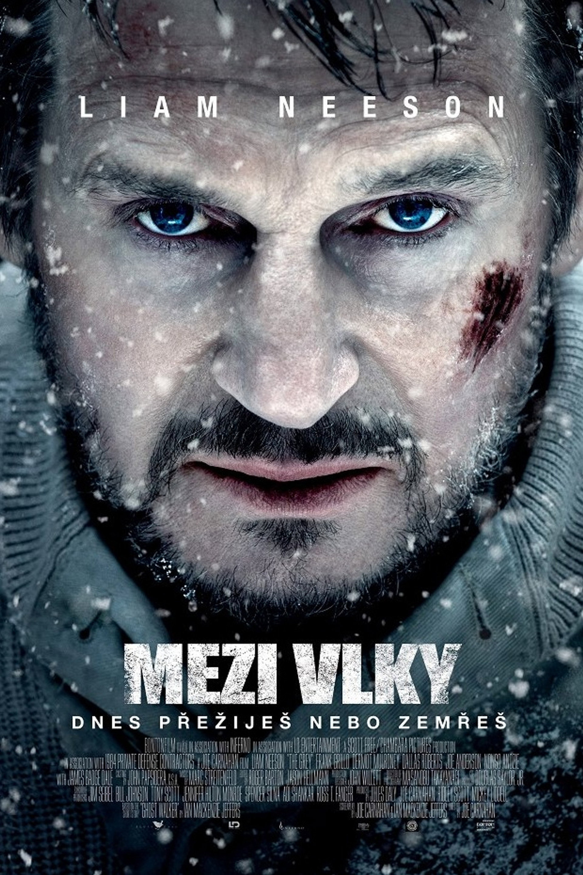 Mezi vlky