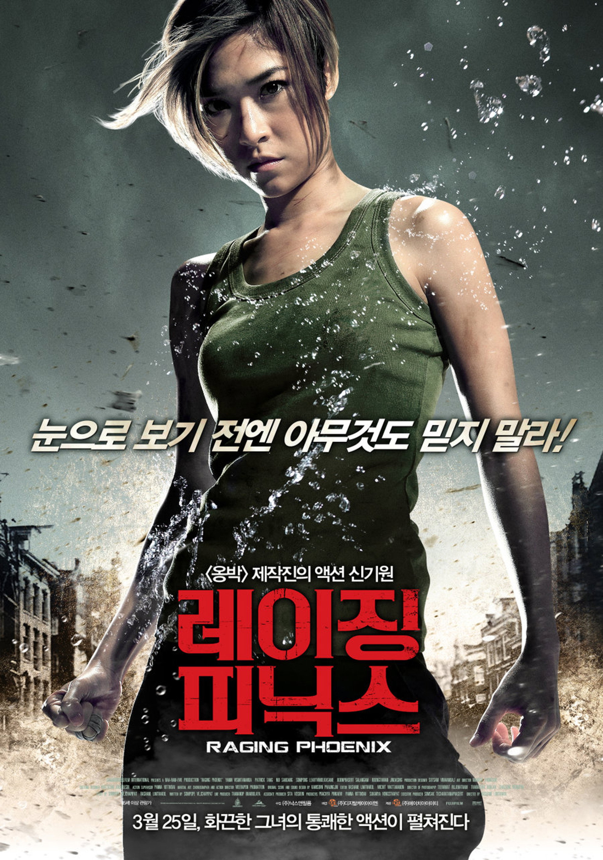 레이징 피닉스