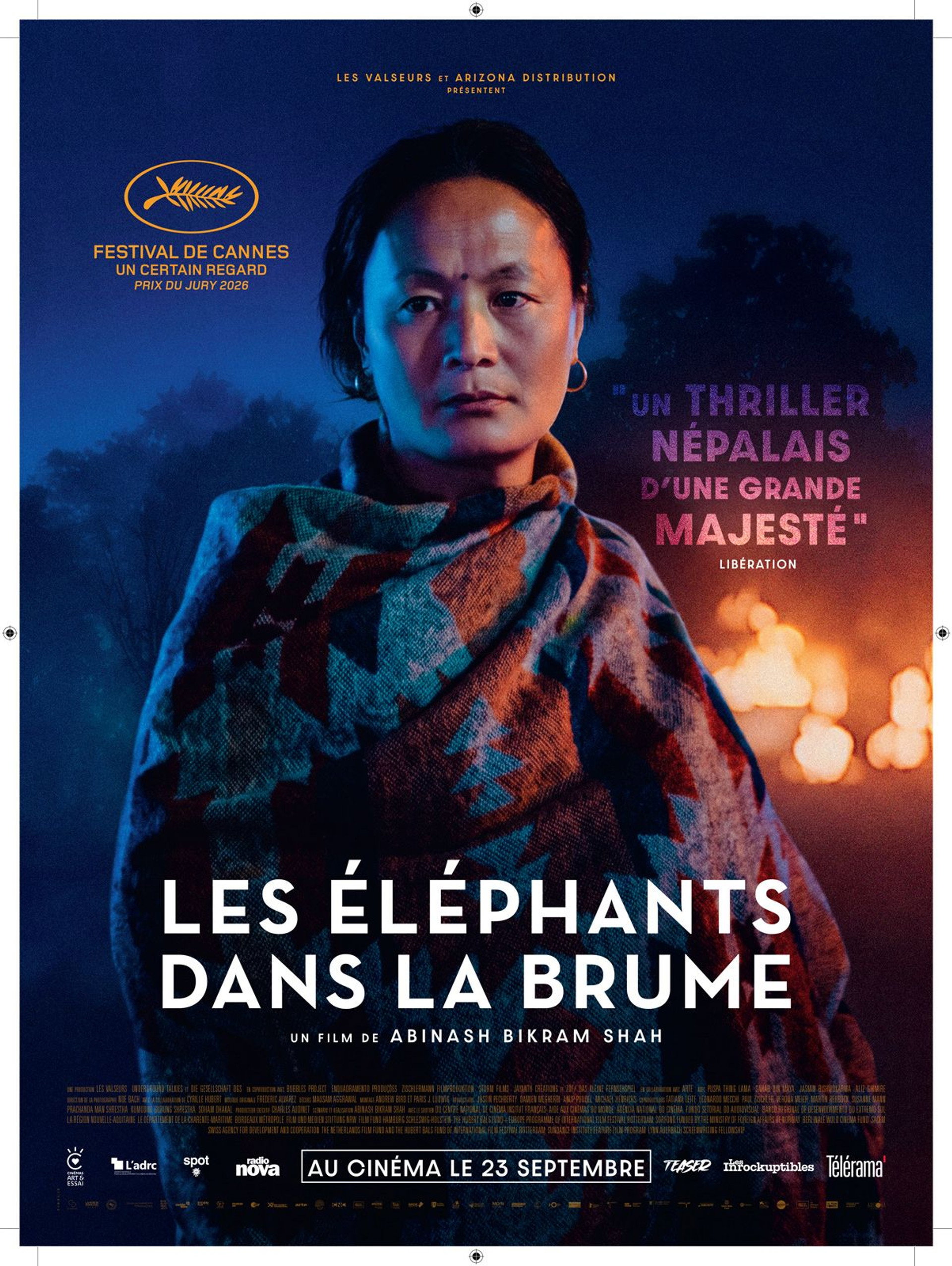 Les Éléphants dans la brume
