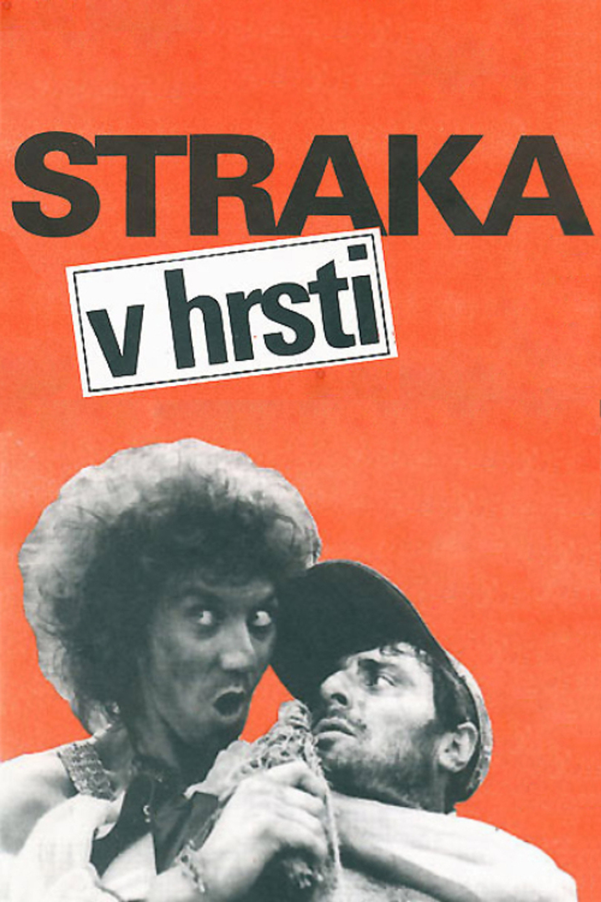 Straka v hrsti