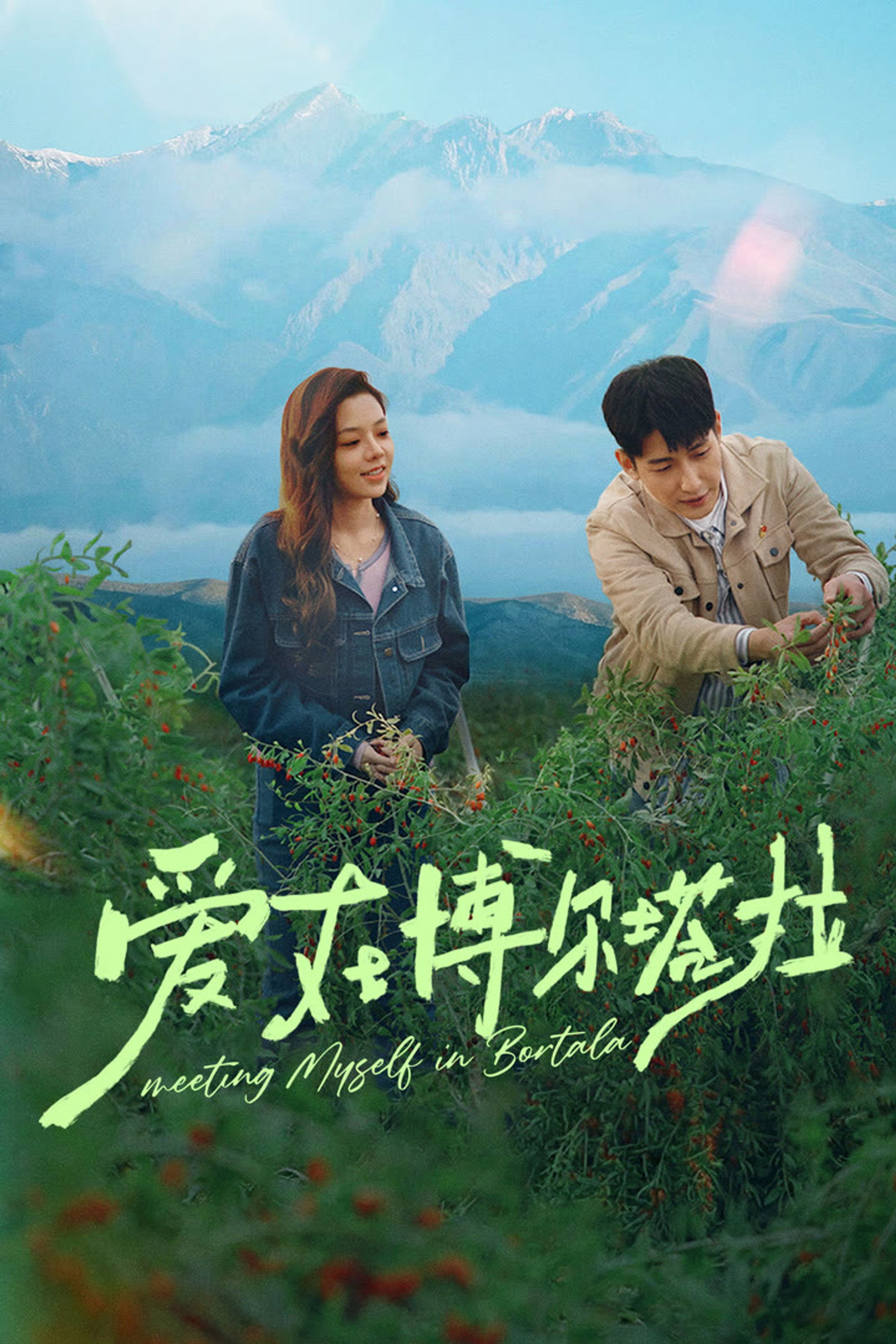 爱在博尔塔拉