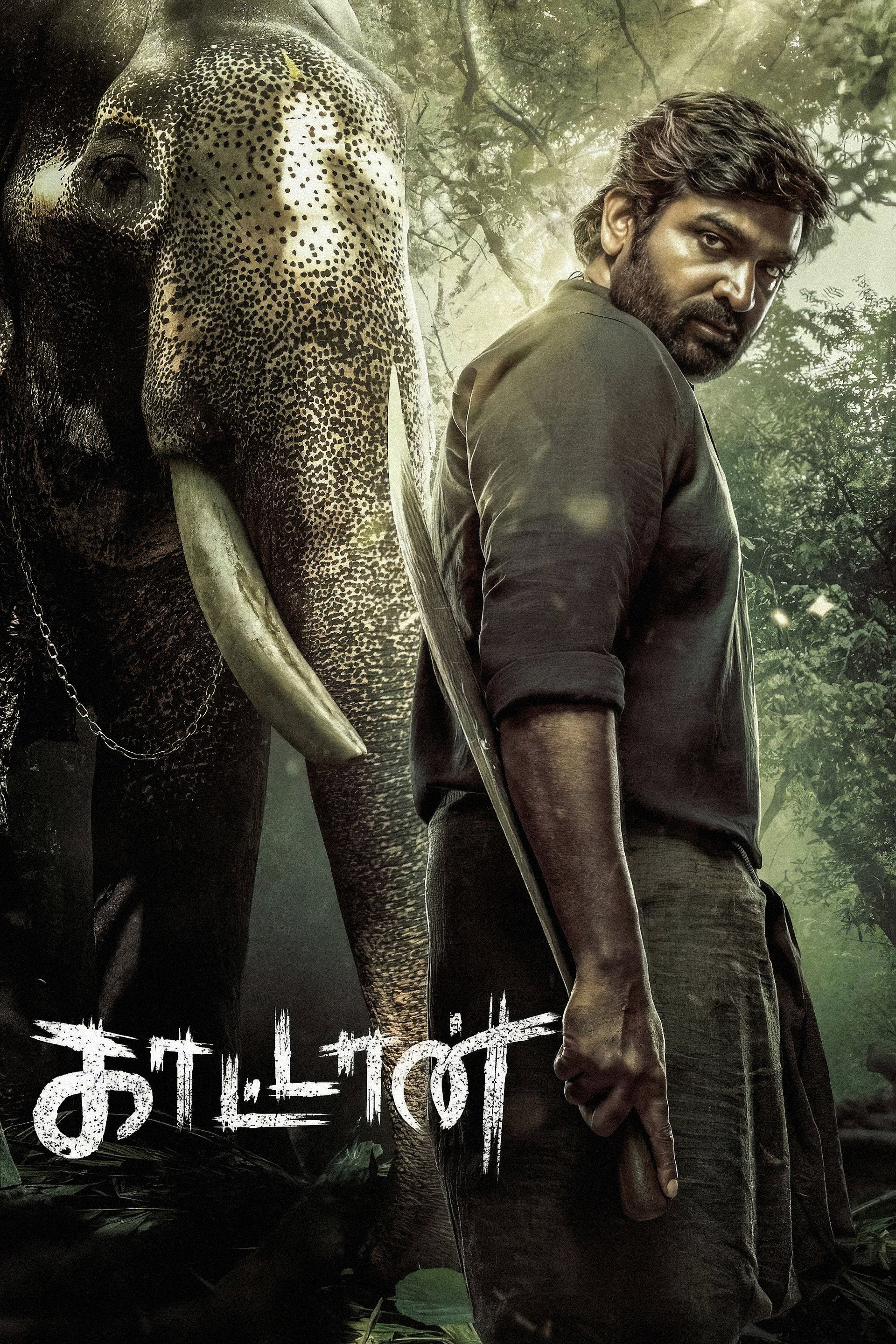 முத்து எங்கிற காட்டான்
