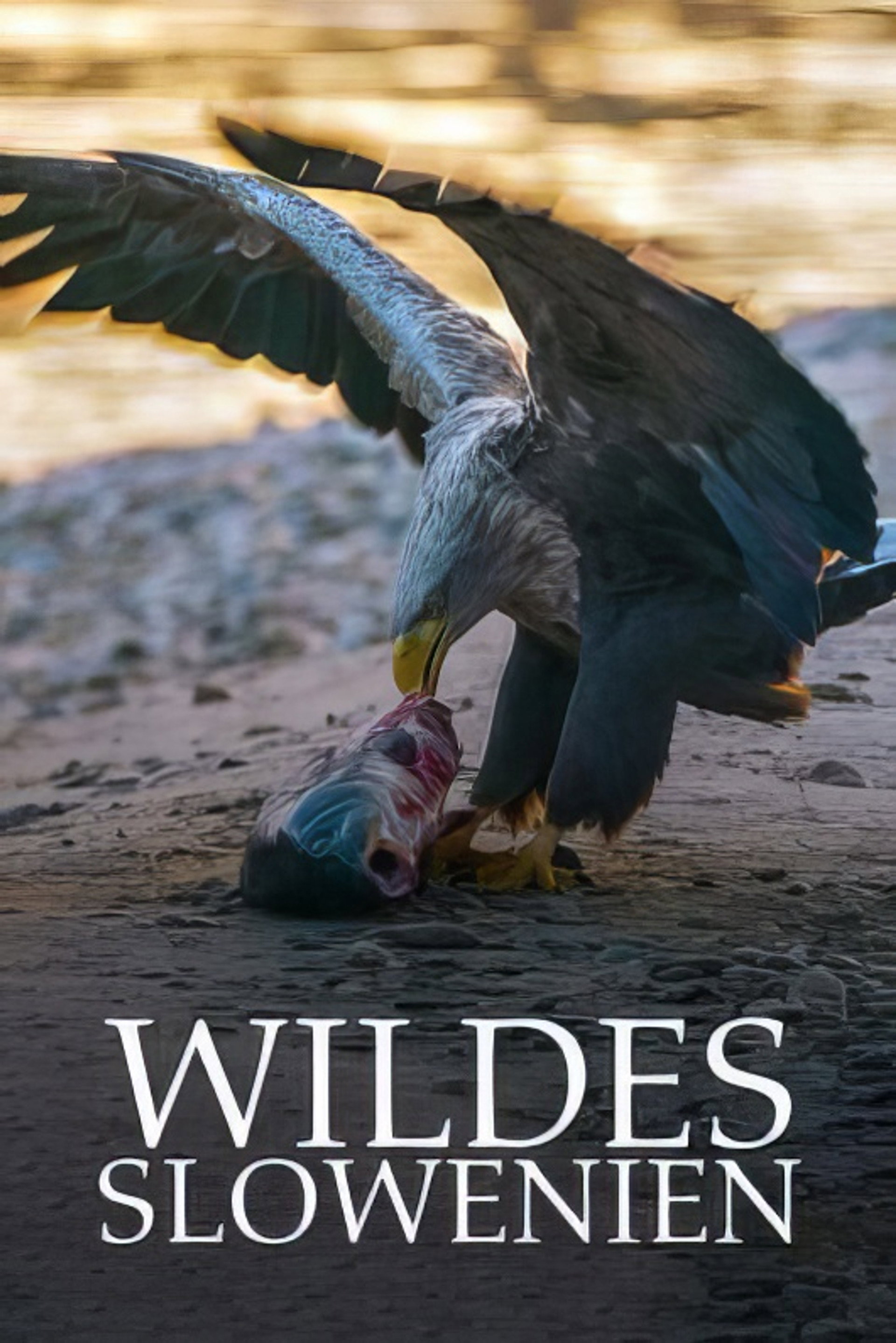 Wildes Slowenien