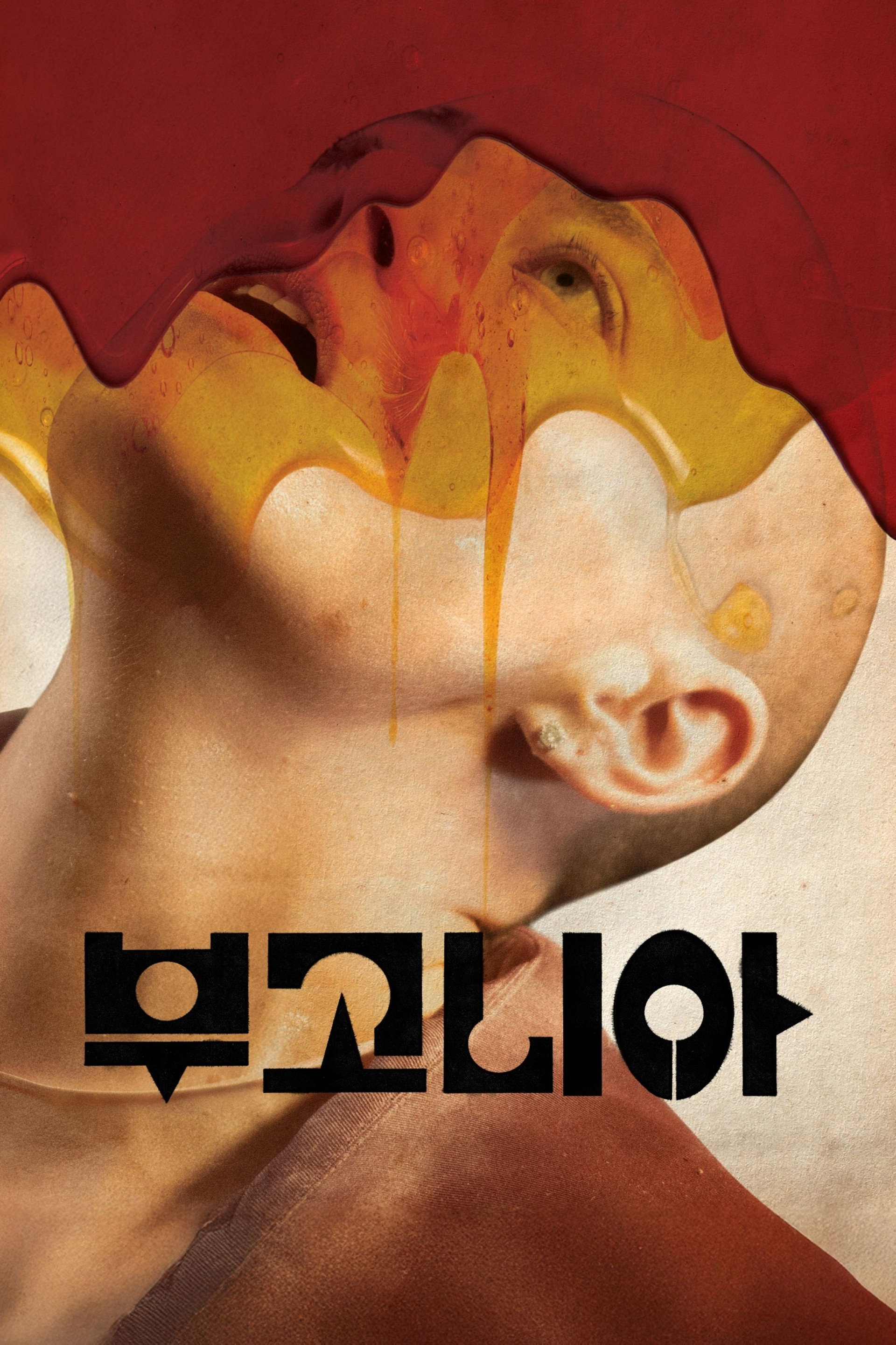 부고니아