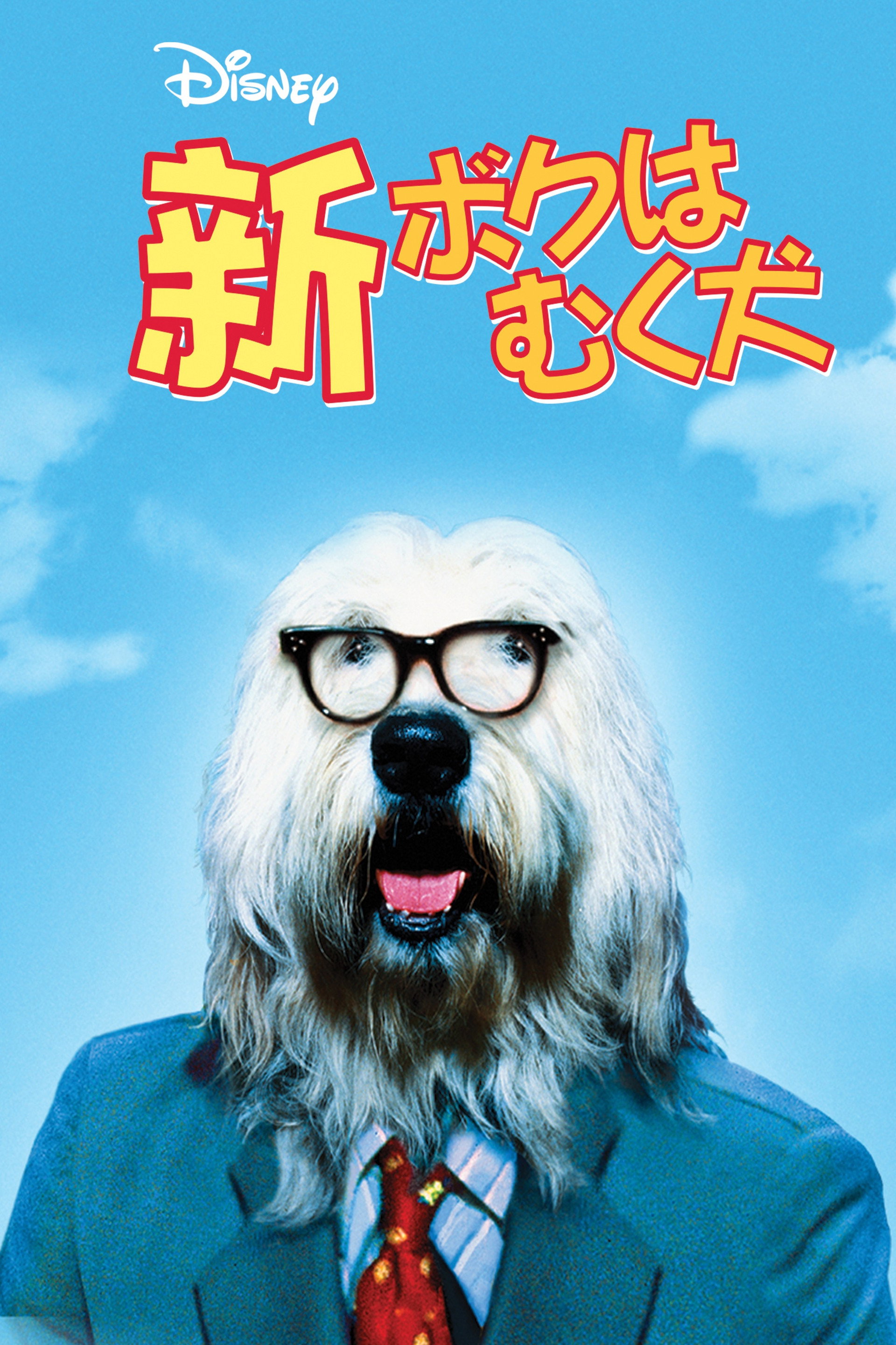 新・ぼくはむく犬