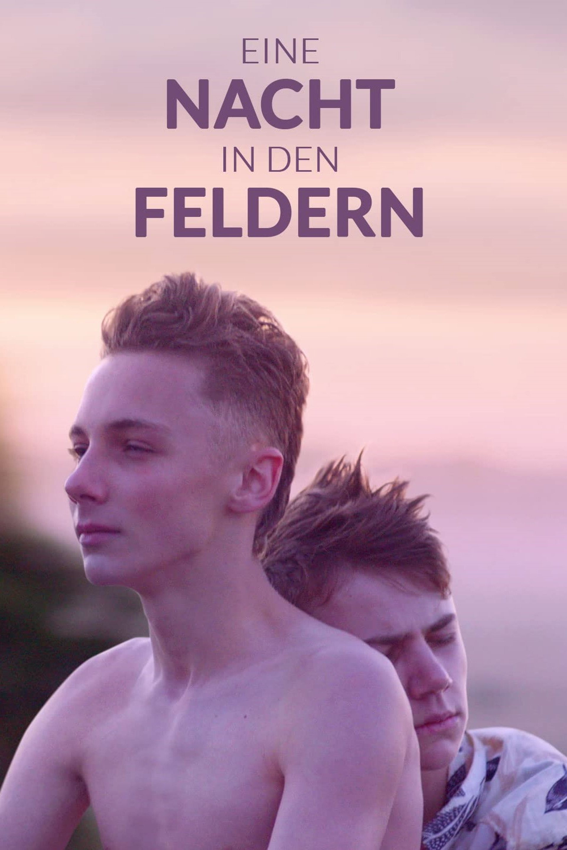 Eine Nacht in den Feldern