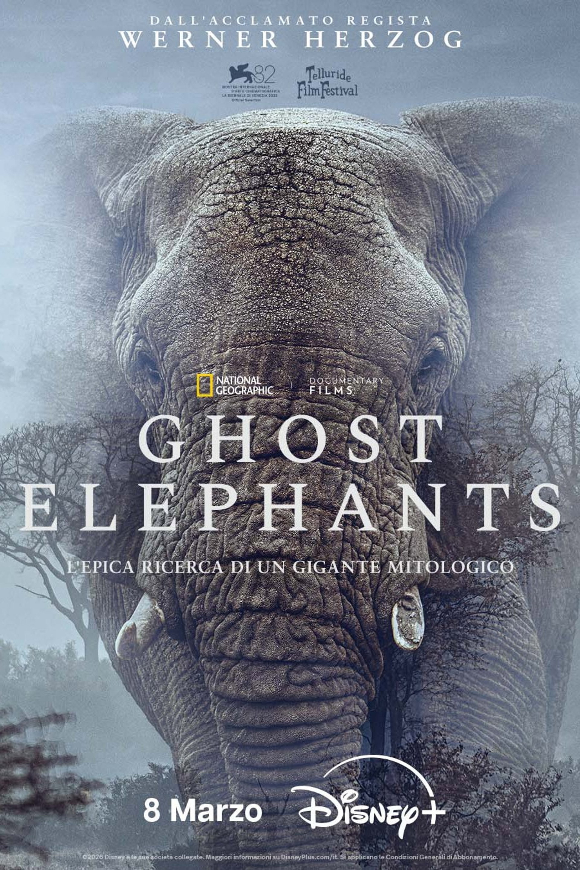 Ghost Elephants