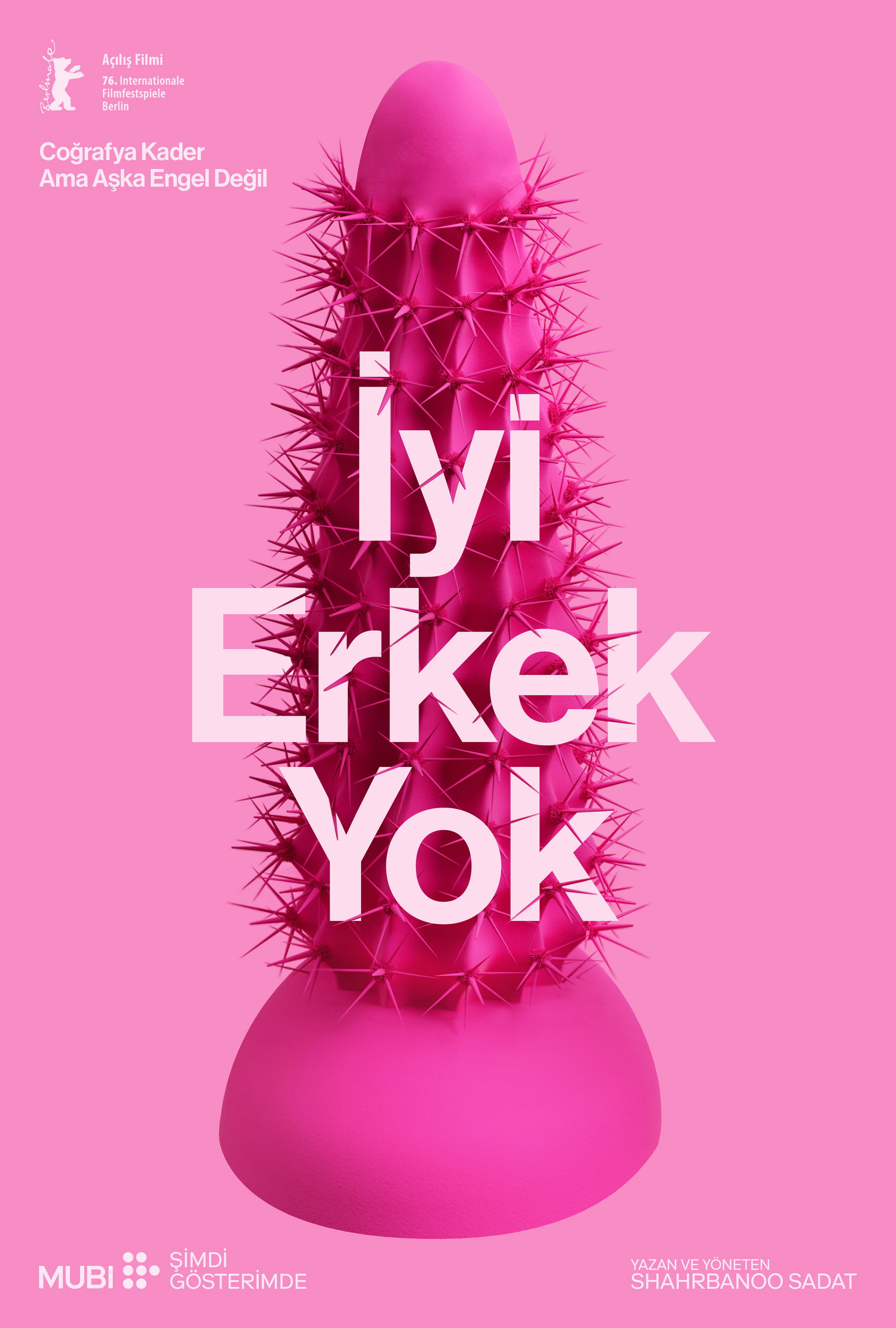 İyi Erkek Yok