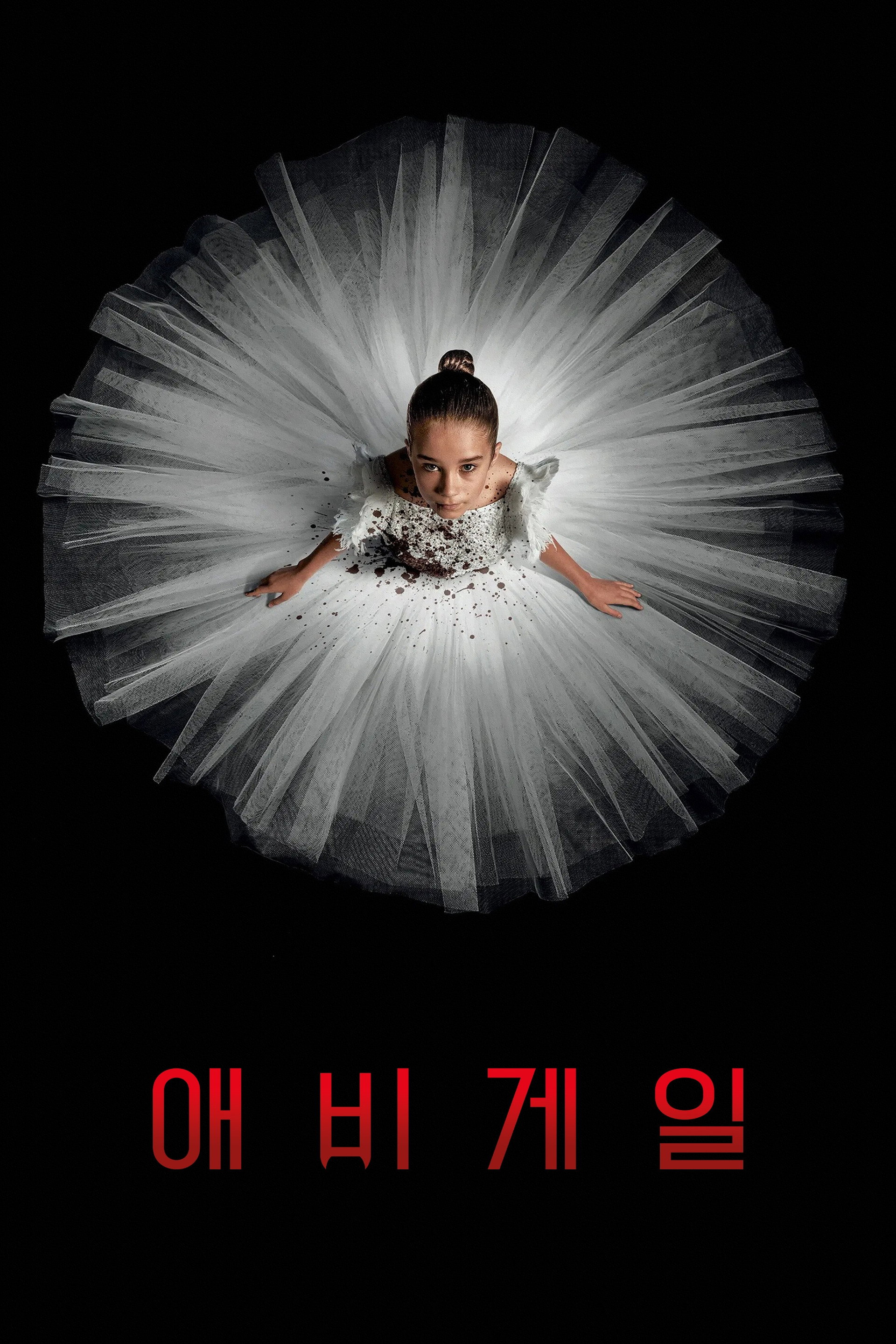 애비게일