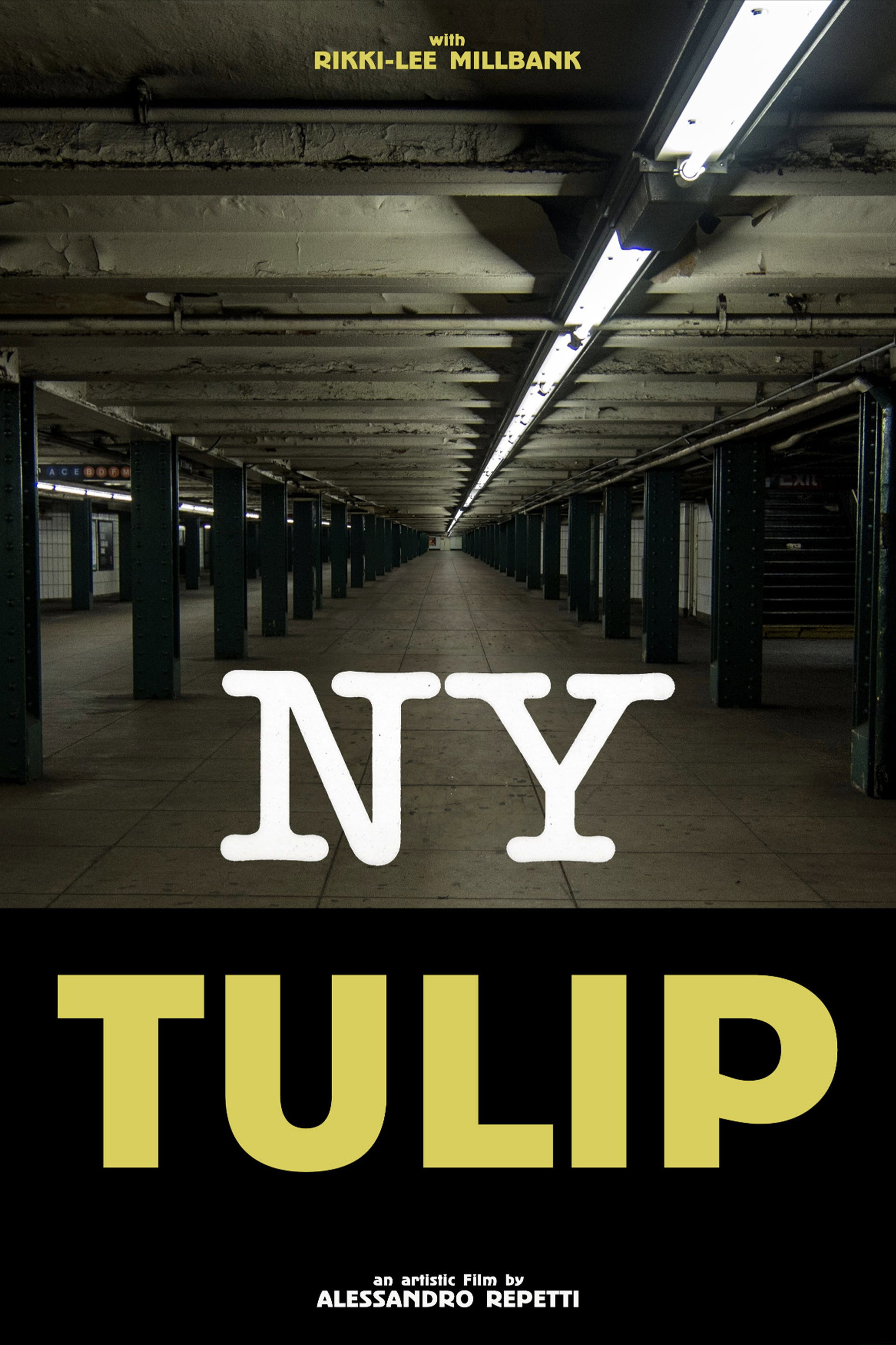 NY Tulip