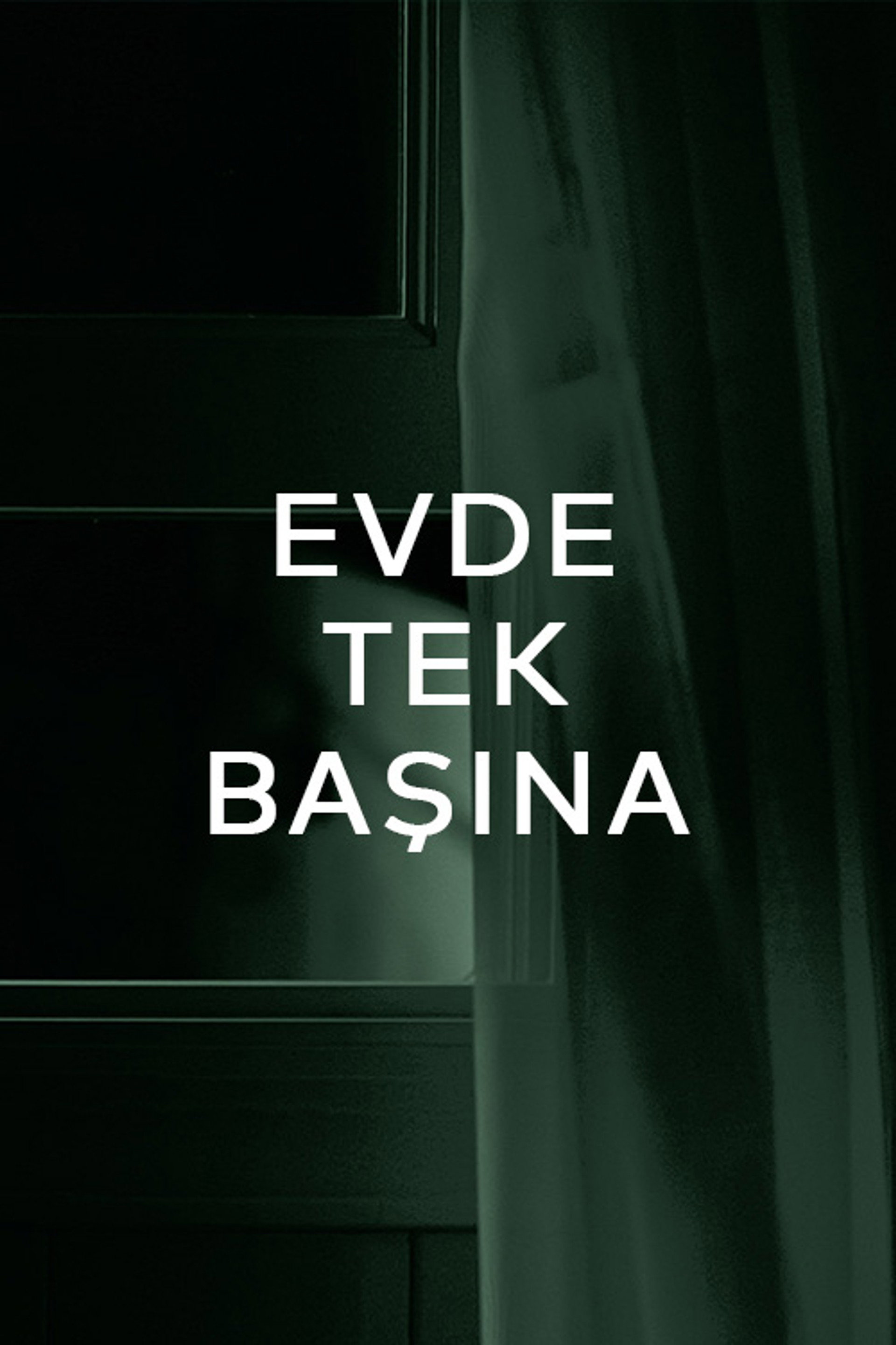Evde Tek Başına