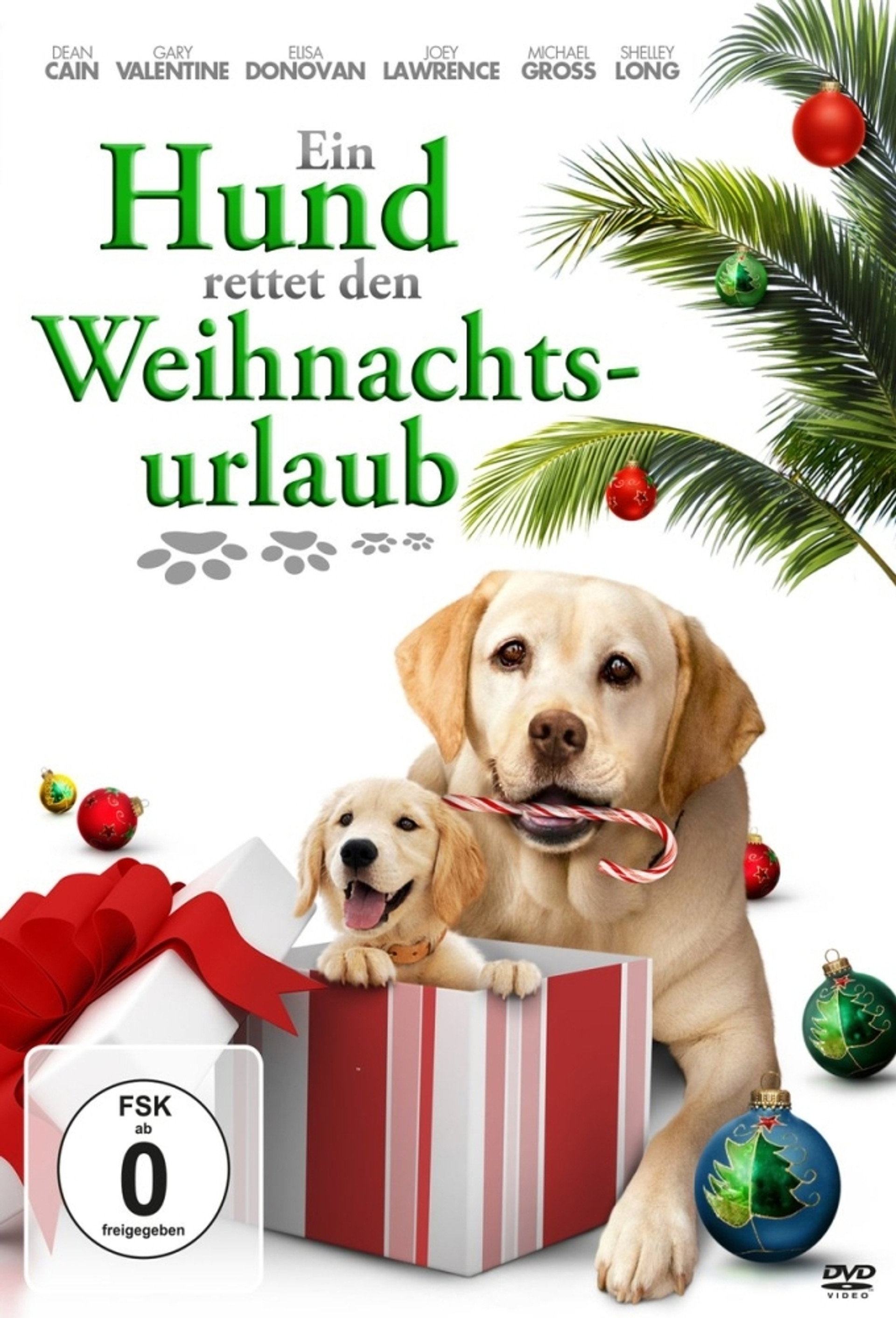 Ein Hund rettet den Weihnachtsurlaub