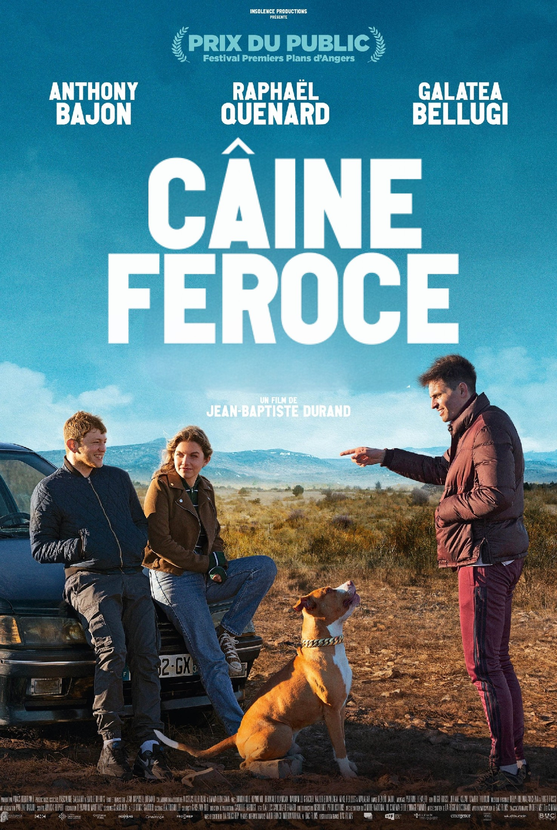 Chien de la casse