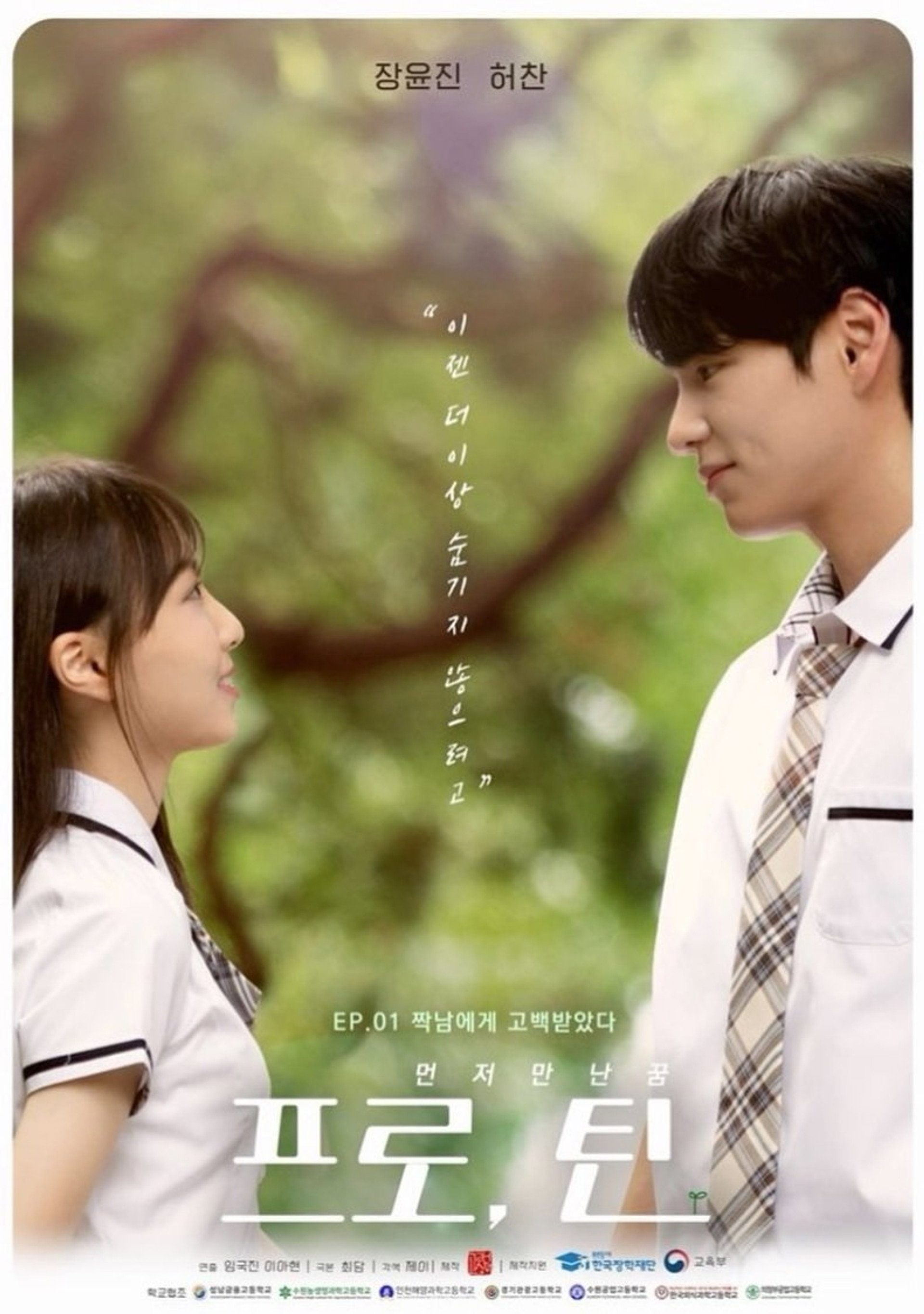 프로, 틴