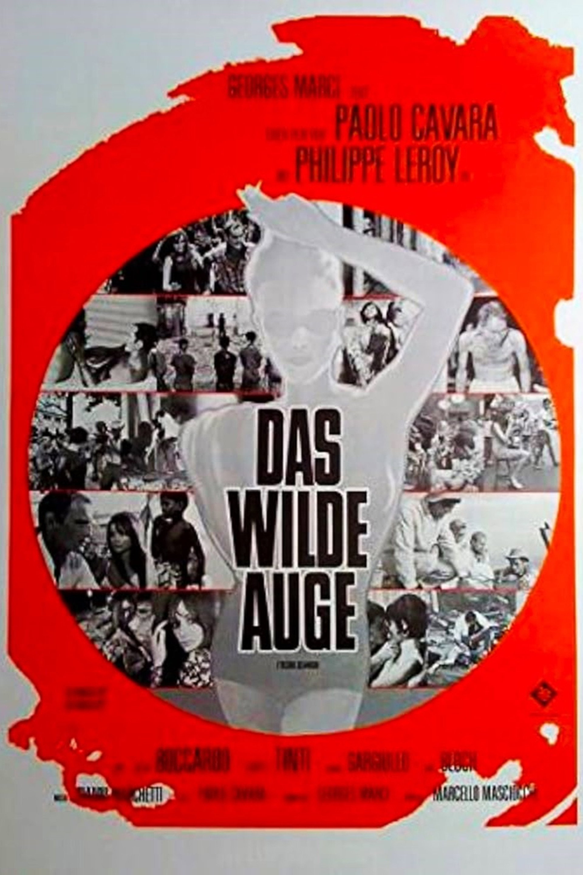Das wilde Auge