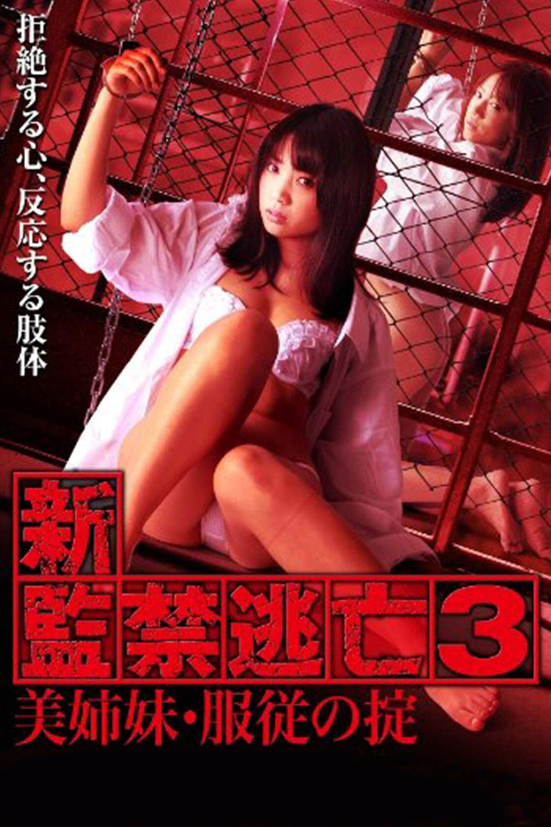 新・監禁逃亡3~美姉妹・服従の掟~