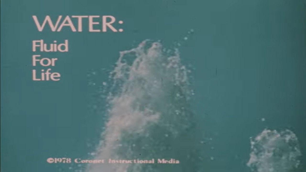 Water: Fluid For Life