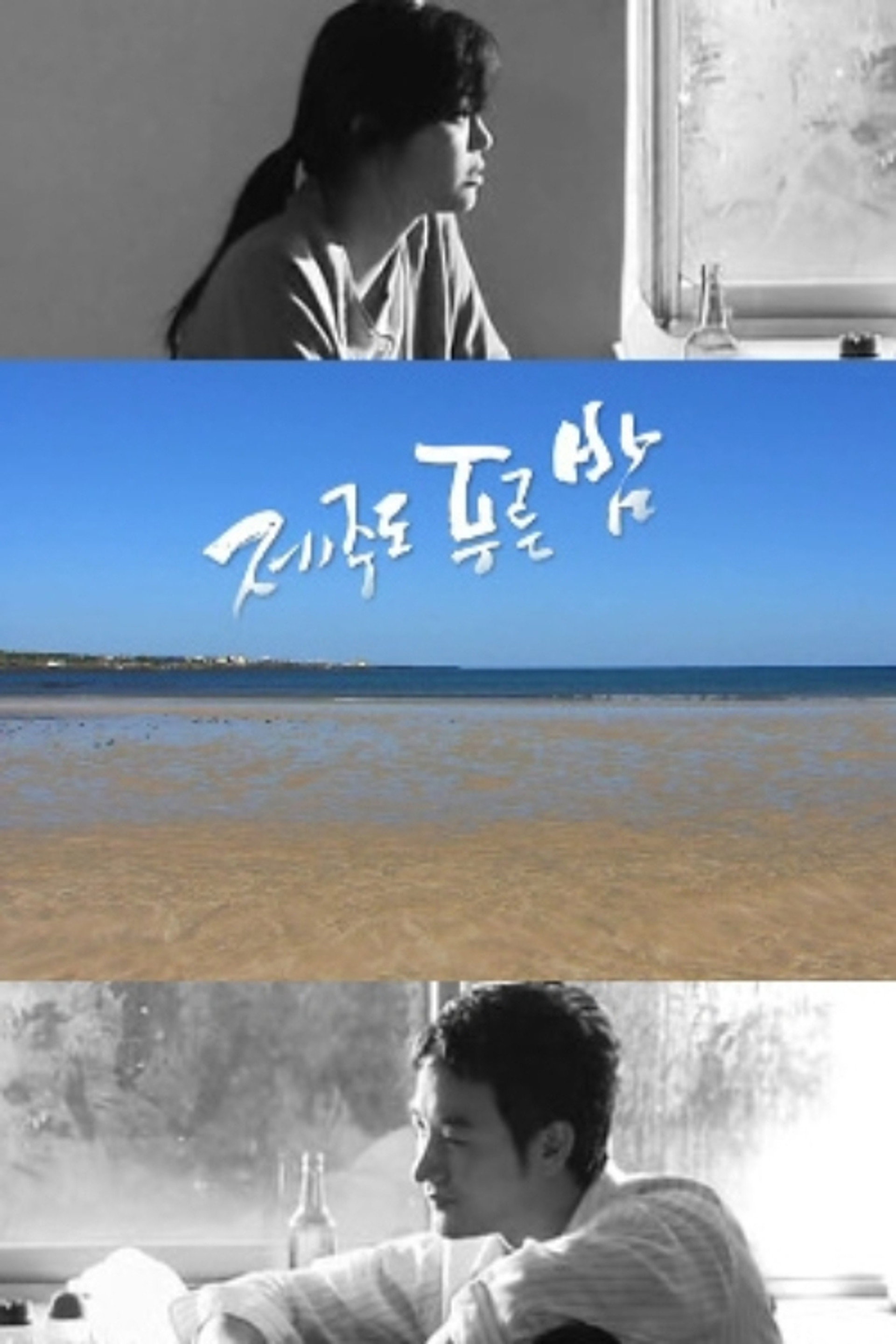 드라마 시티: 제주도 푸른밤