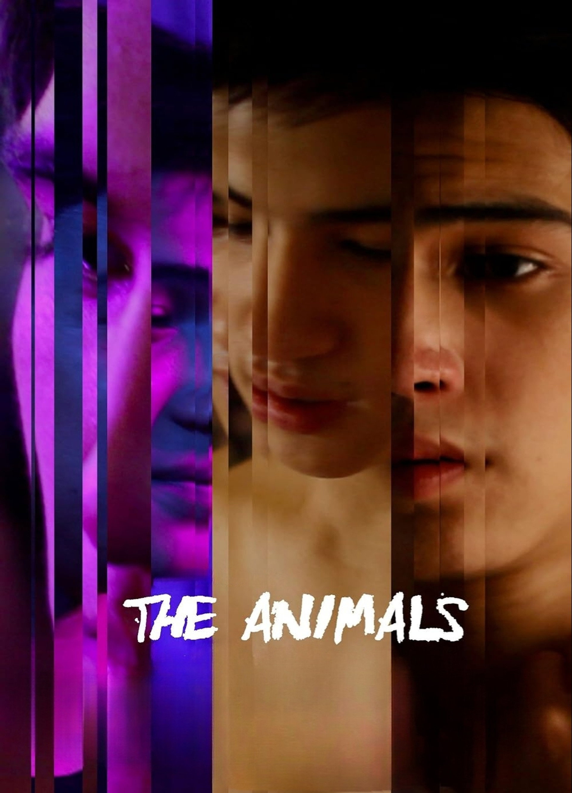 The Animals