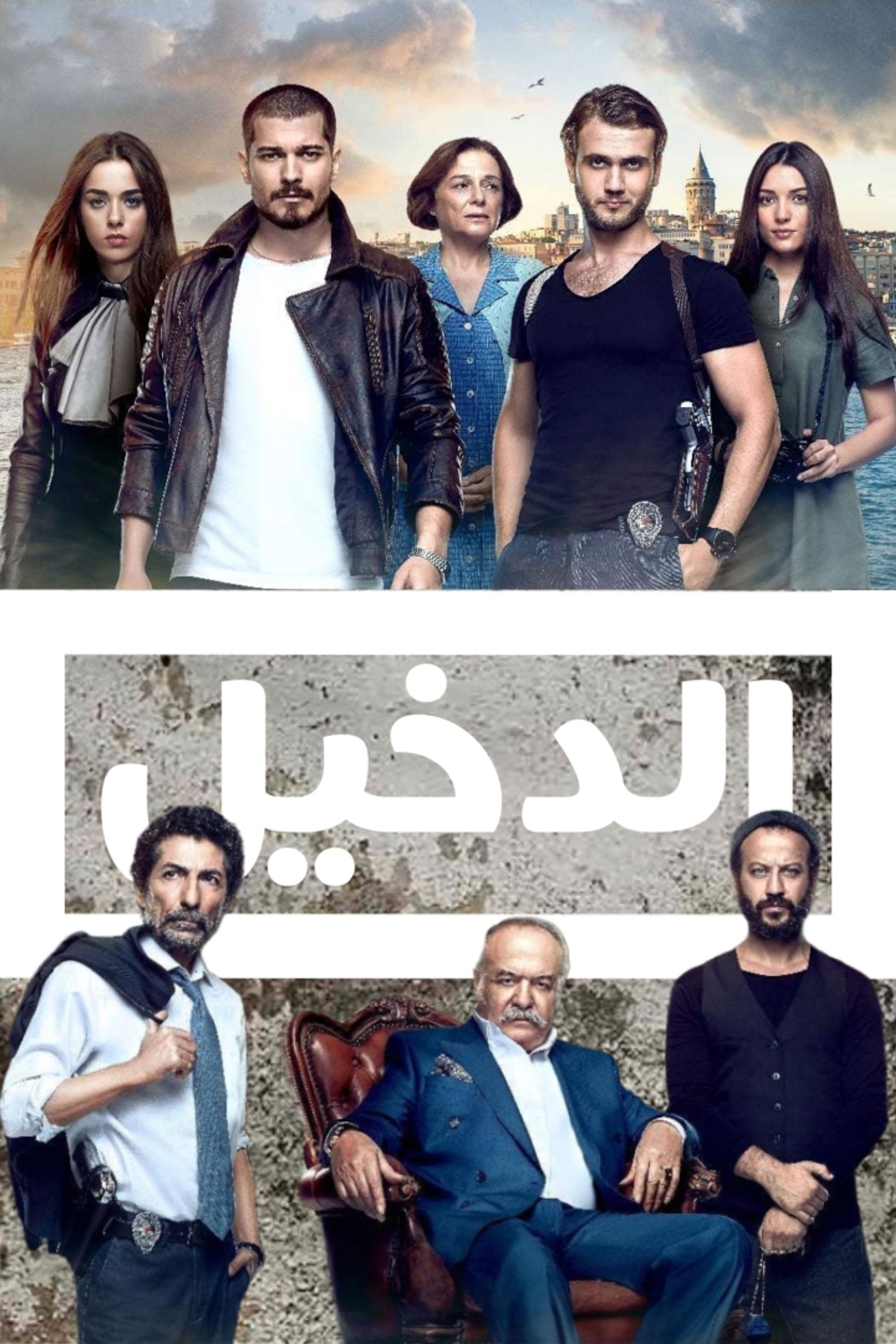 في الداخل