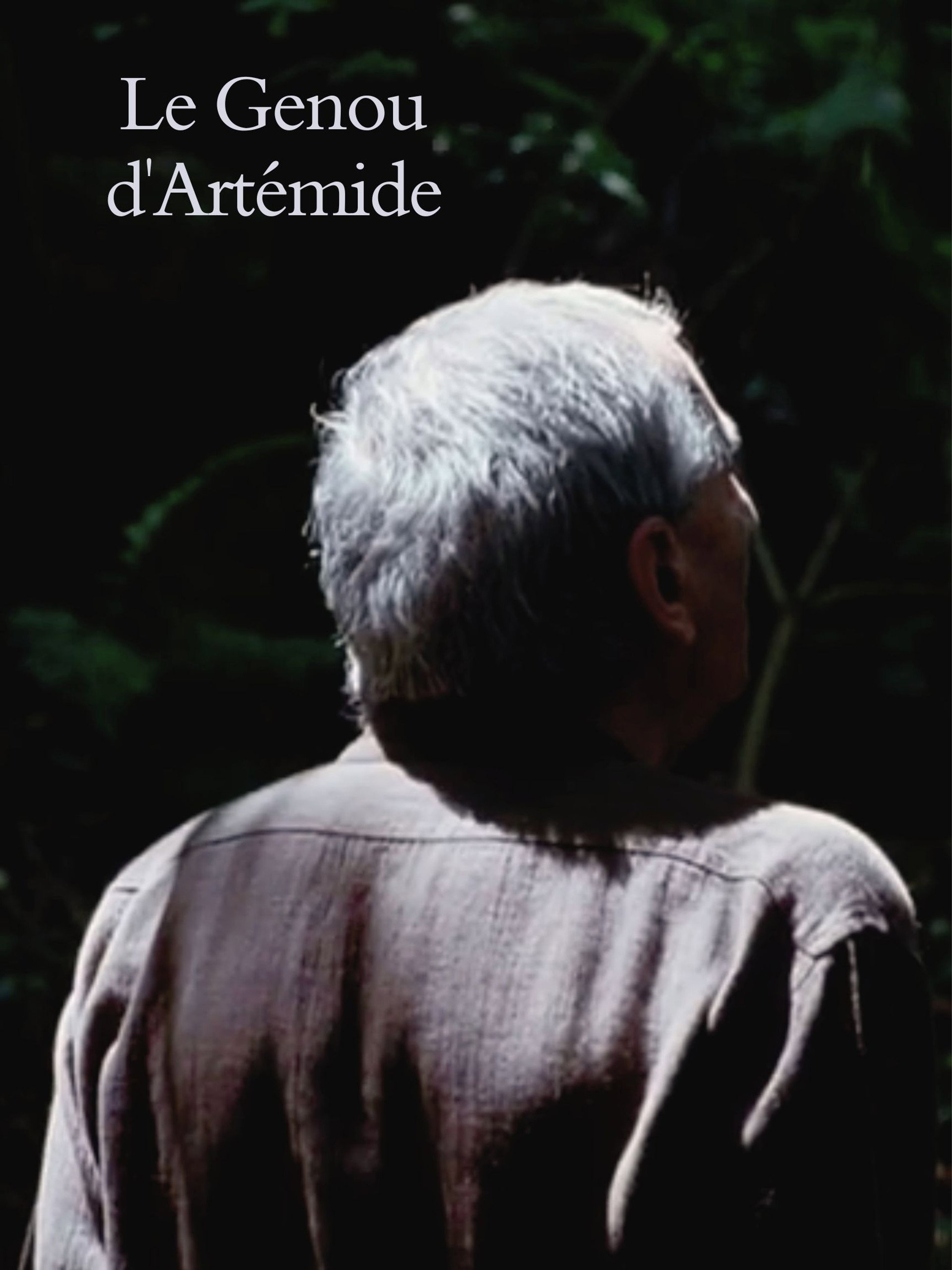 Artemide’s Knee