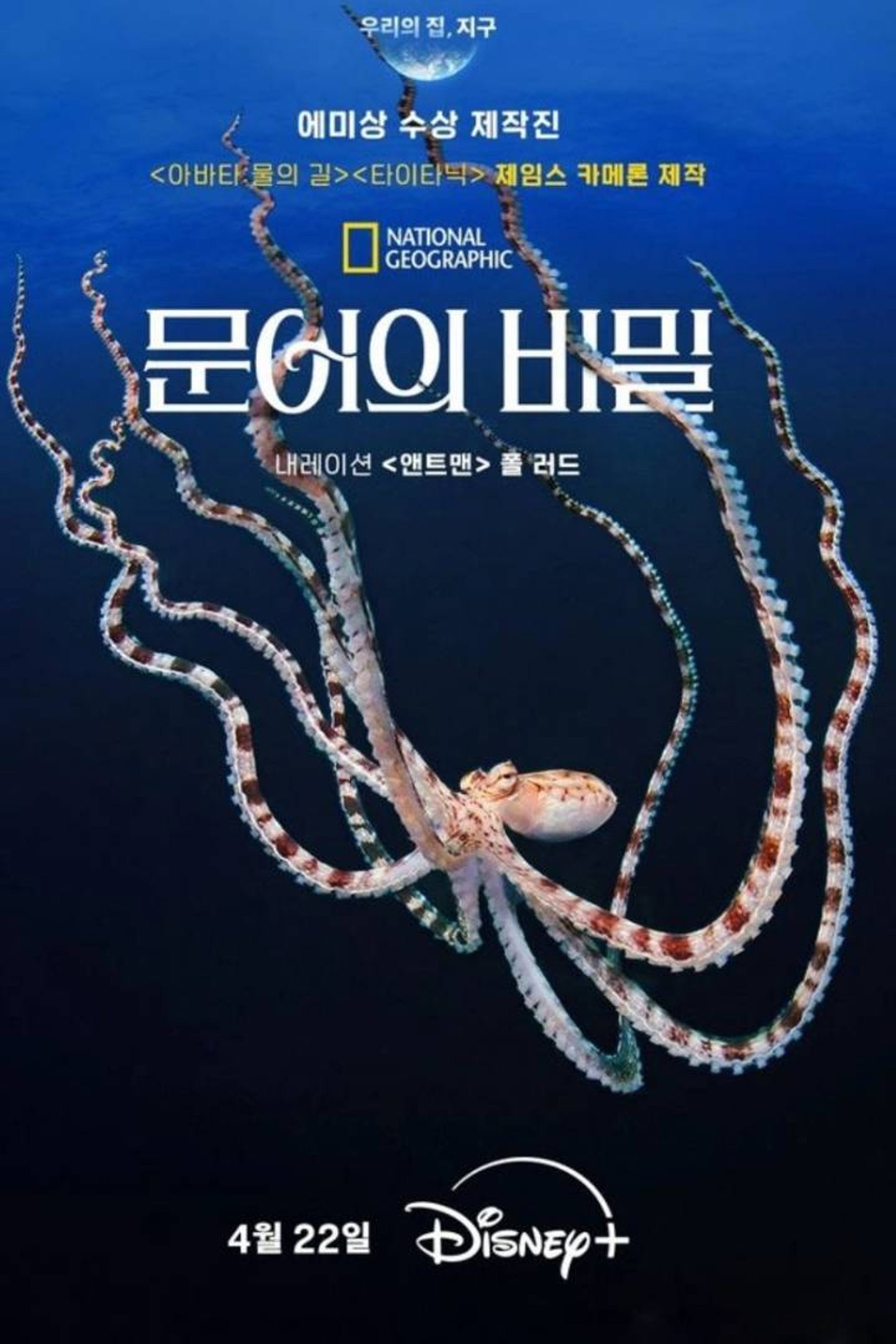 문어의 비밀