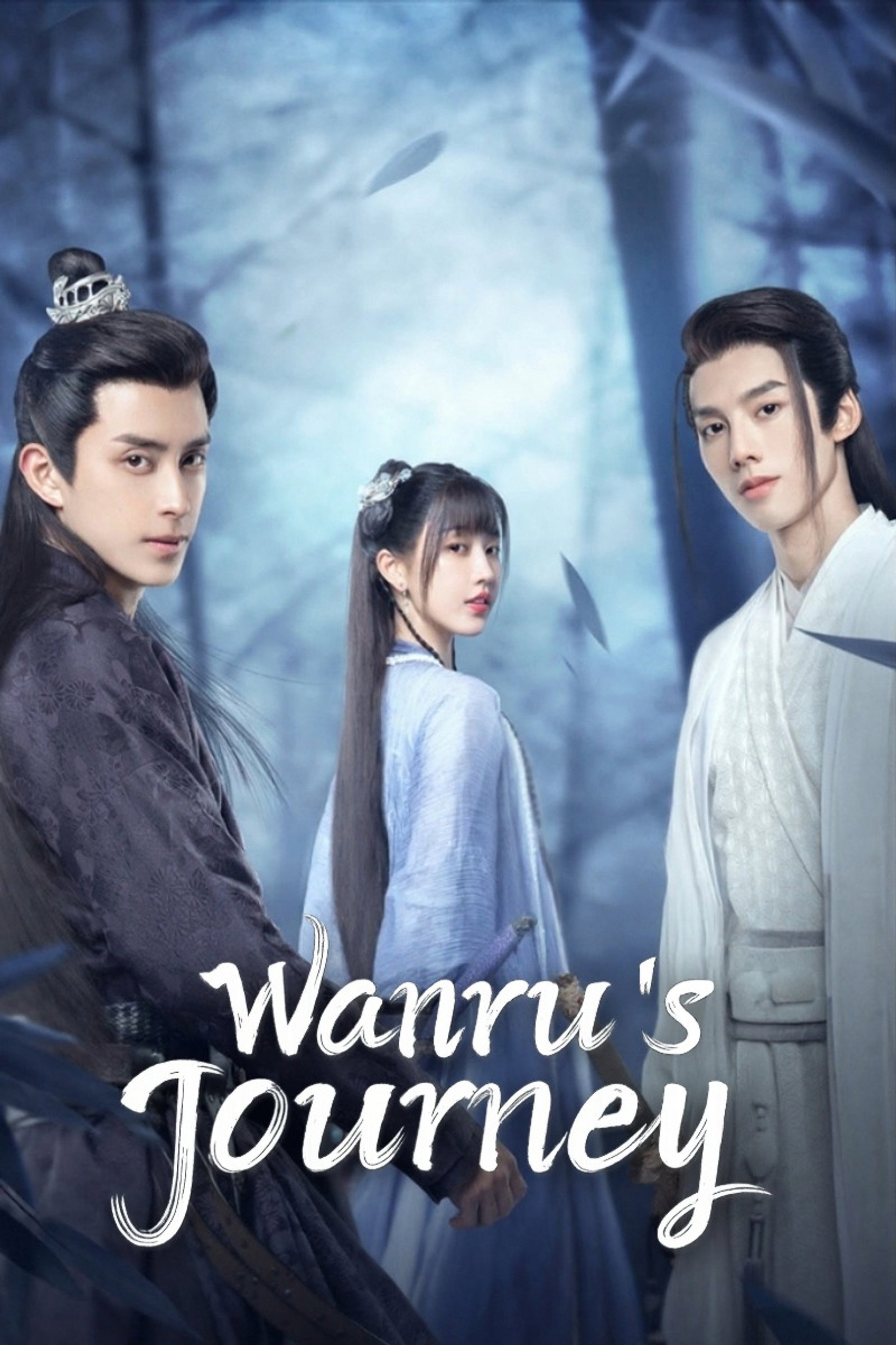 Wanru's Journey