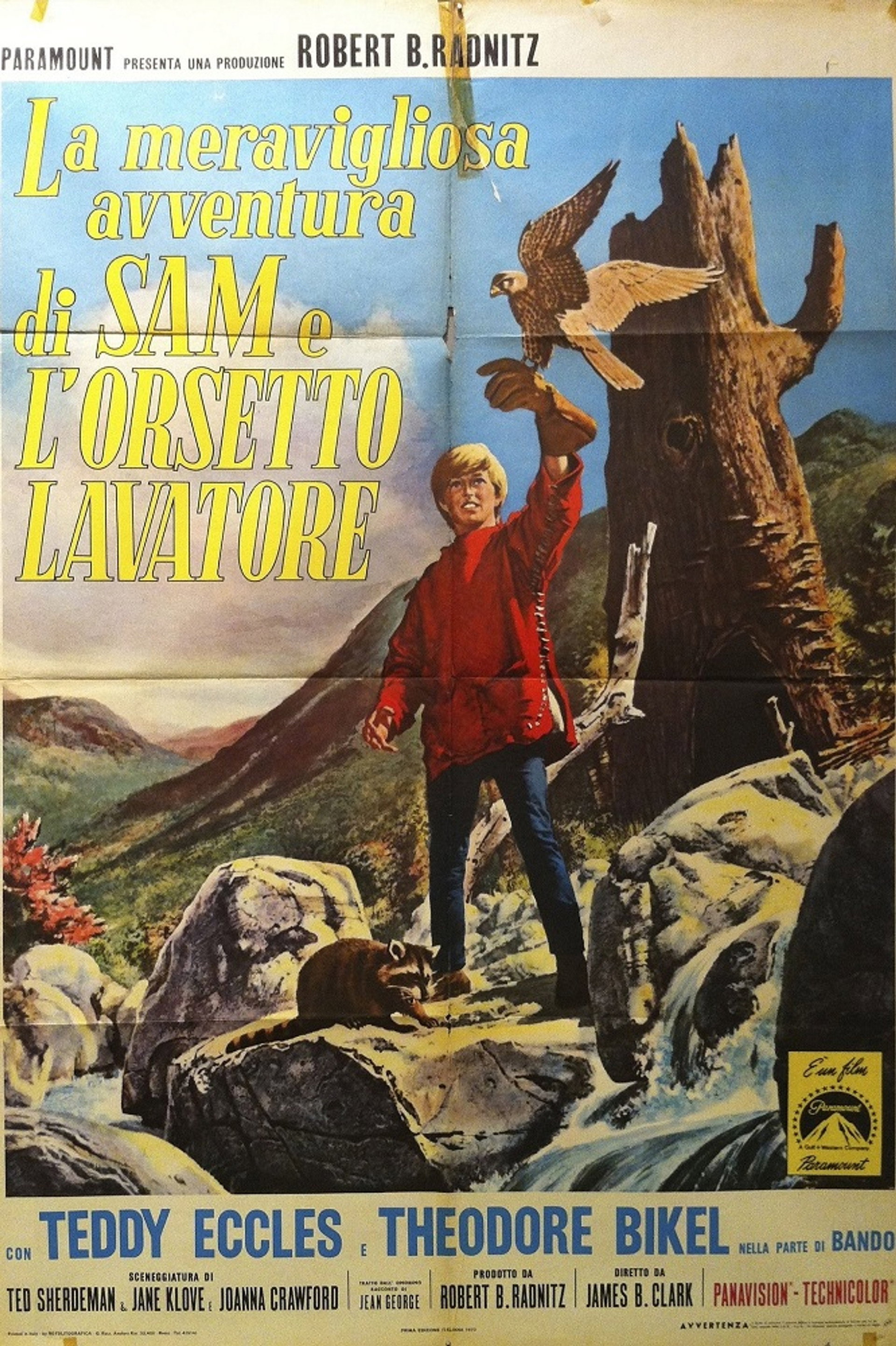 La meravigliosa avventura di Sam e l'orsetto lavatore