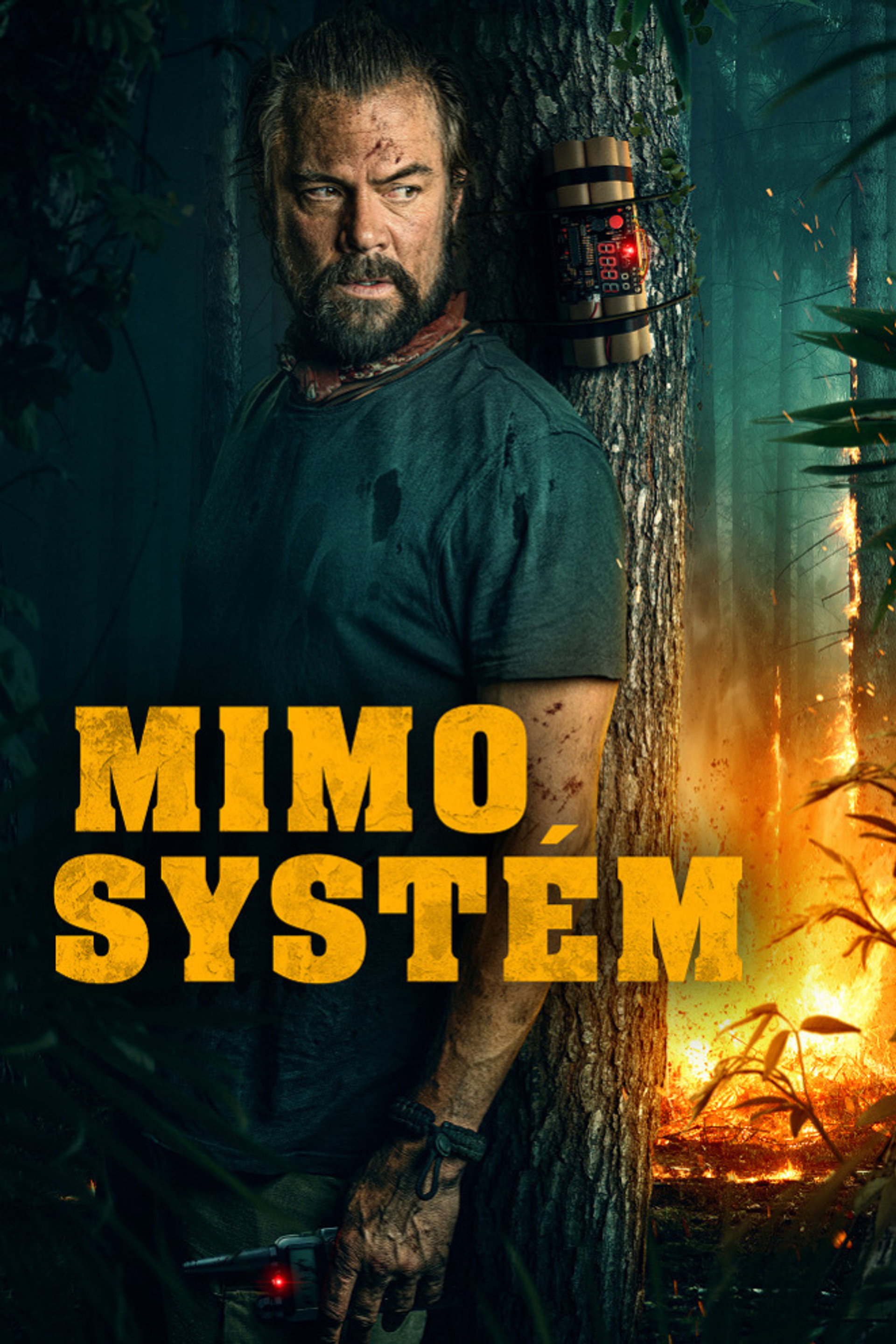 Mimo systém
