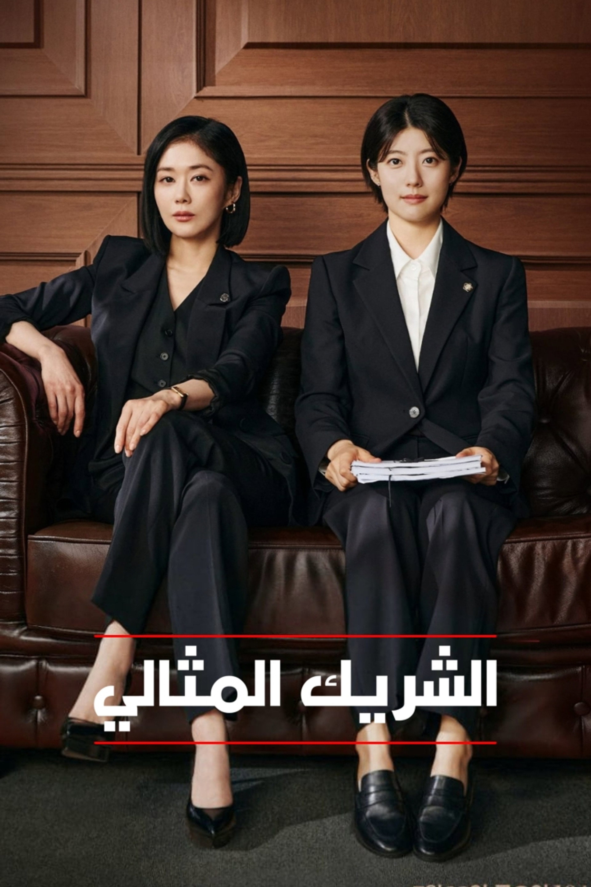 شريك جيد