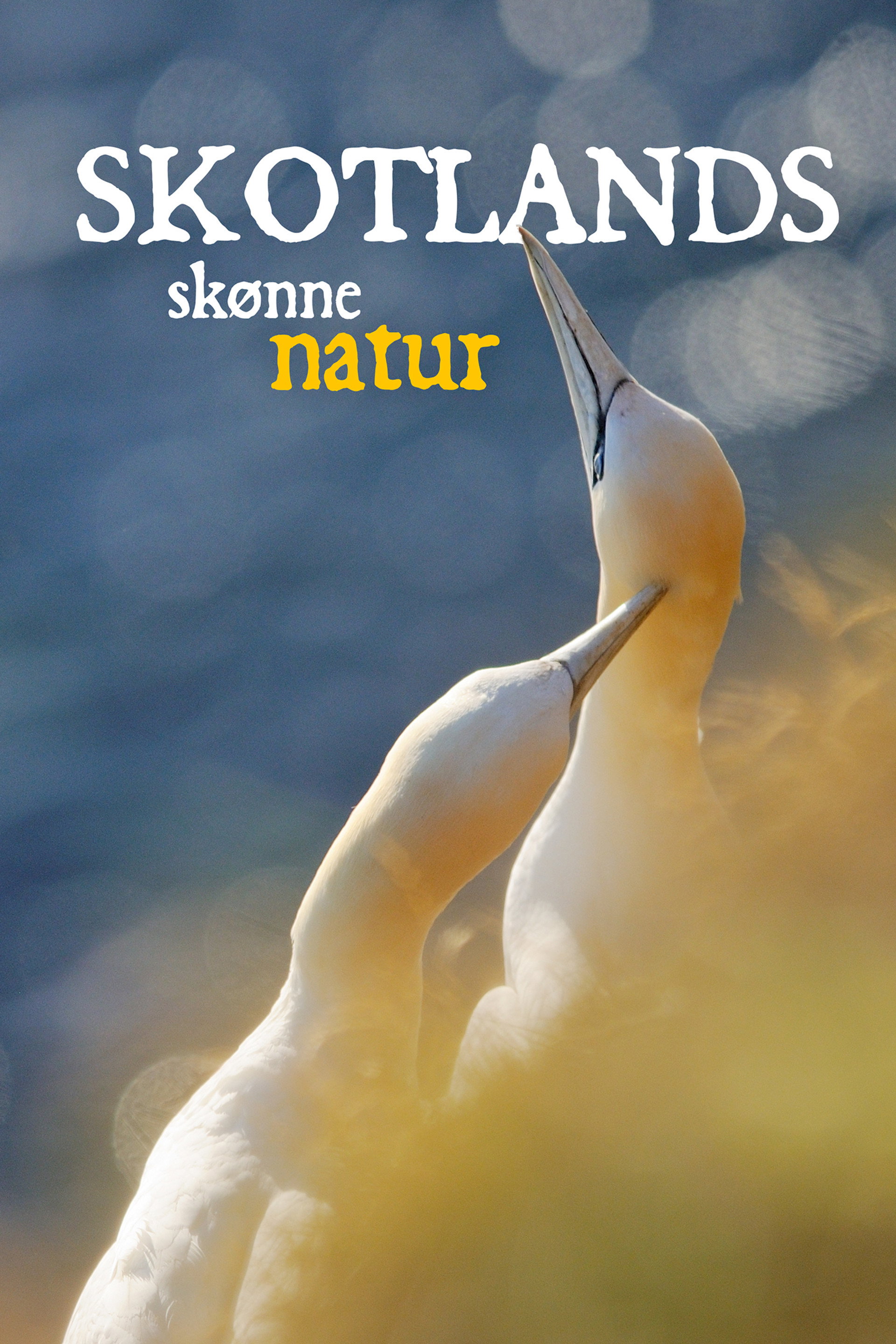 Skotlands skønne natur