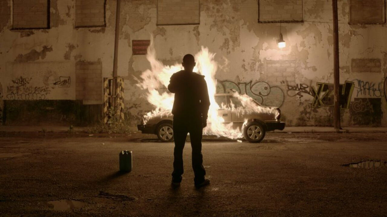 50 or Two Whales Meet at the Beach