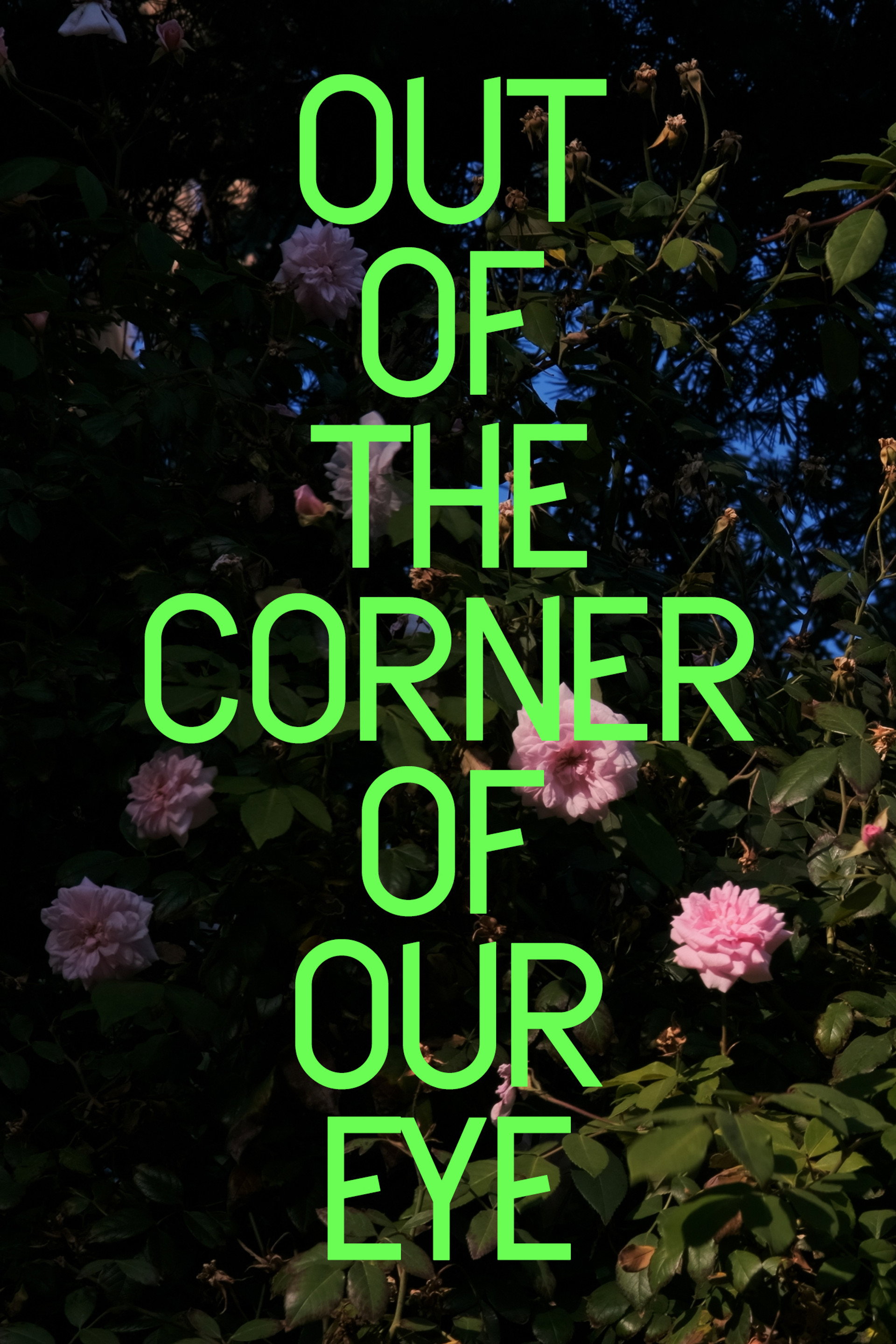 Out of the Corner of Our Eye